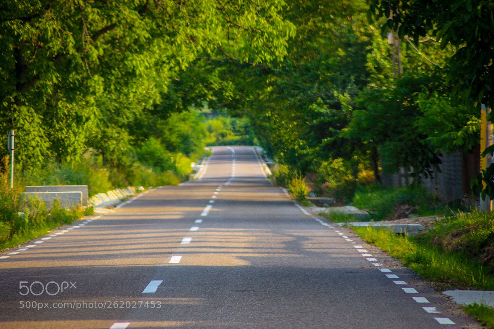 Canon EOS 70D sample photo. Untitled photography
