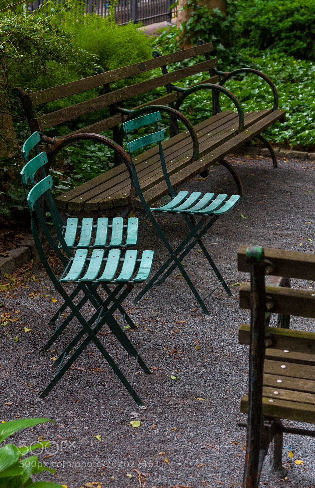 Nikon D90 sample photo. Peaceful park photography