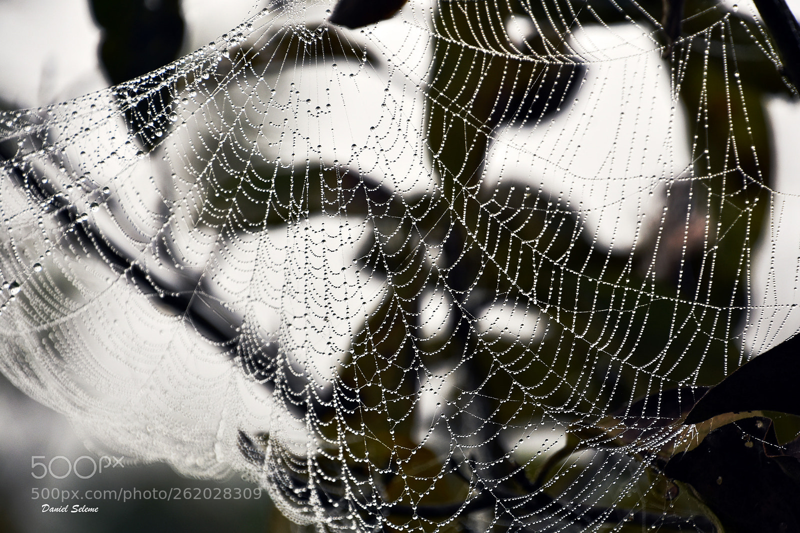 Nikon D7200 sample photo. Untitled photography
