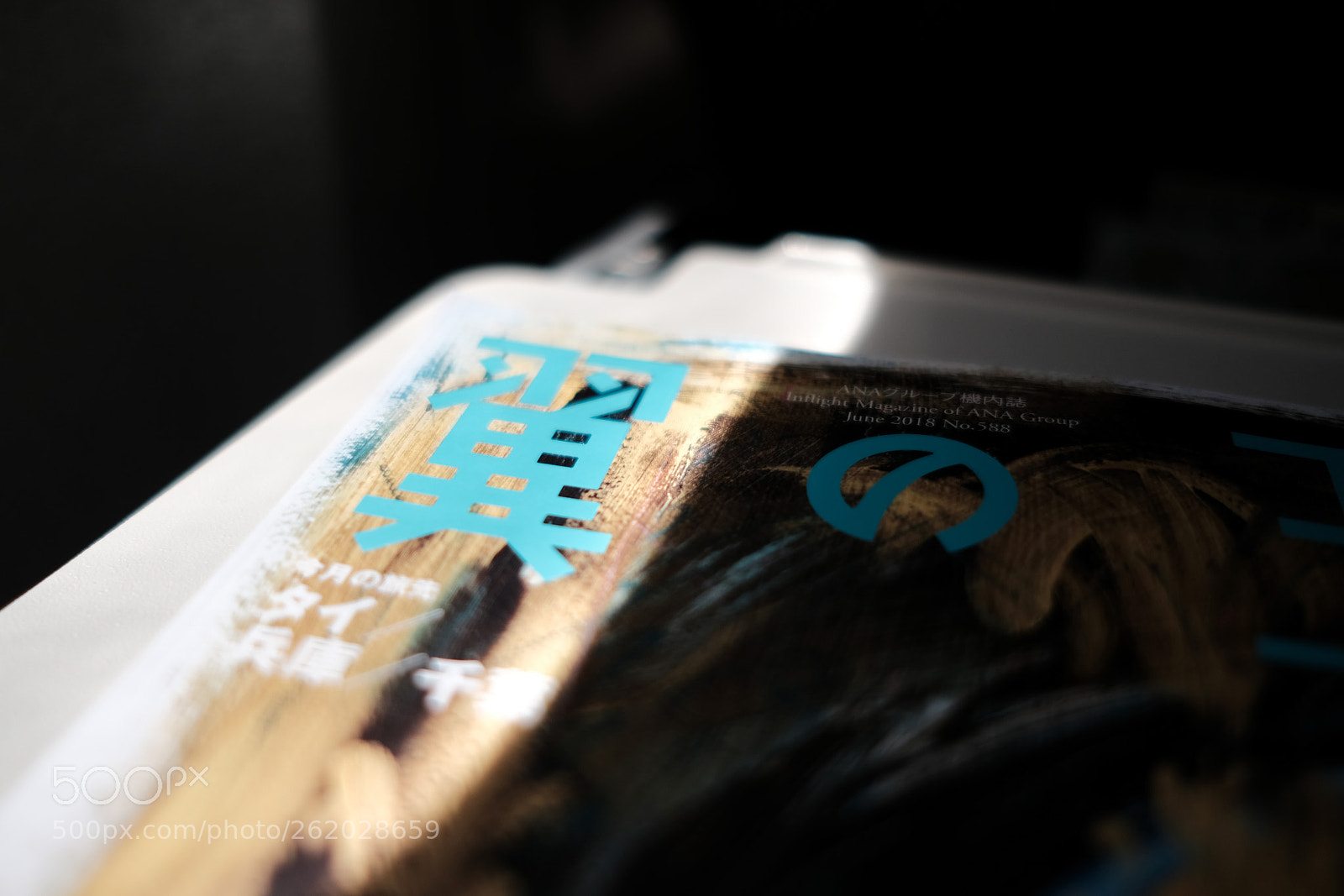 Fujifilm X-E3 sample photo. Wing photography