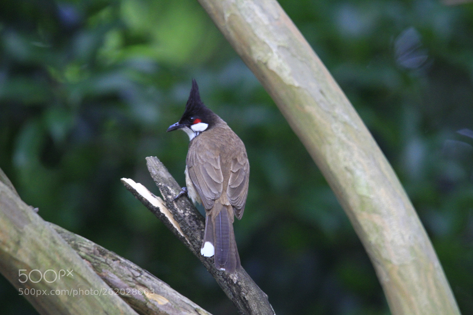 Canon EOS 7D sample photo. Lonely photography