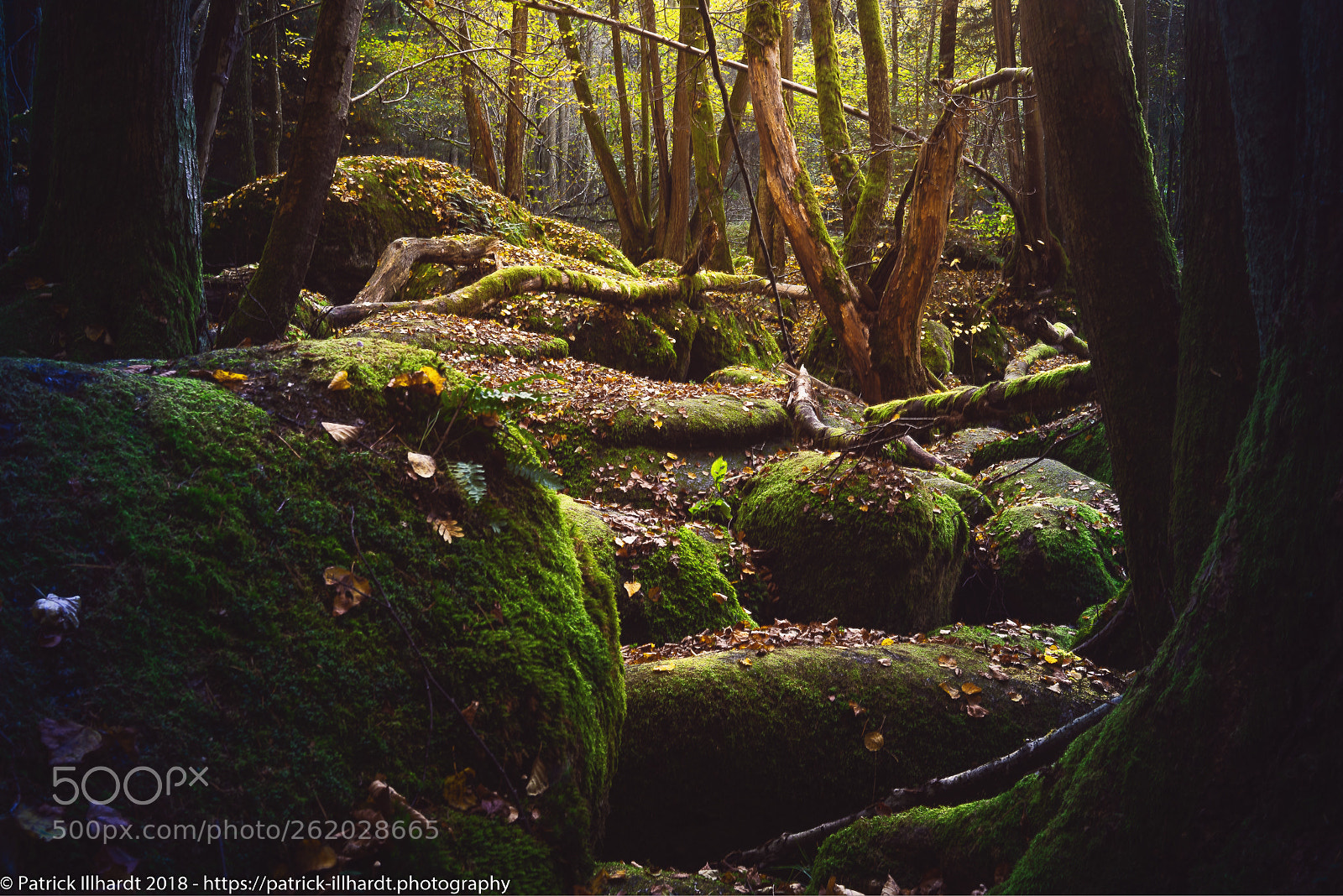 Sony a7R sample photo. Isle of light photography