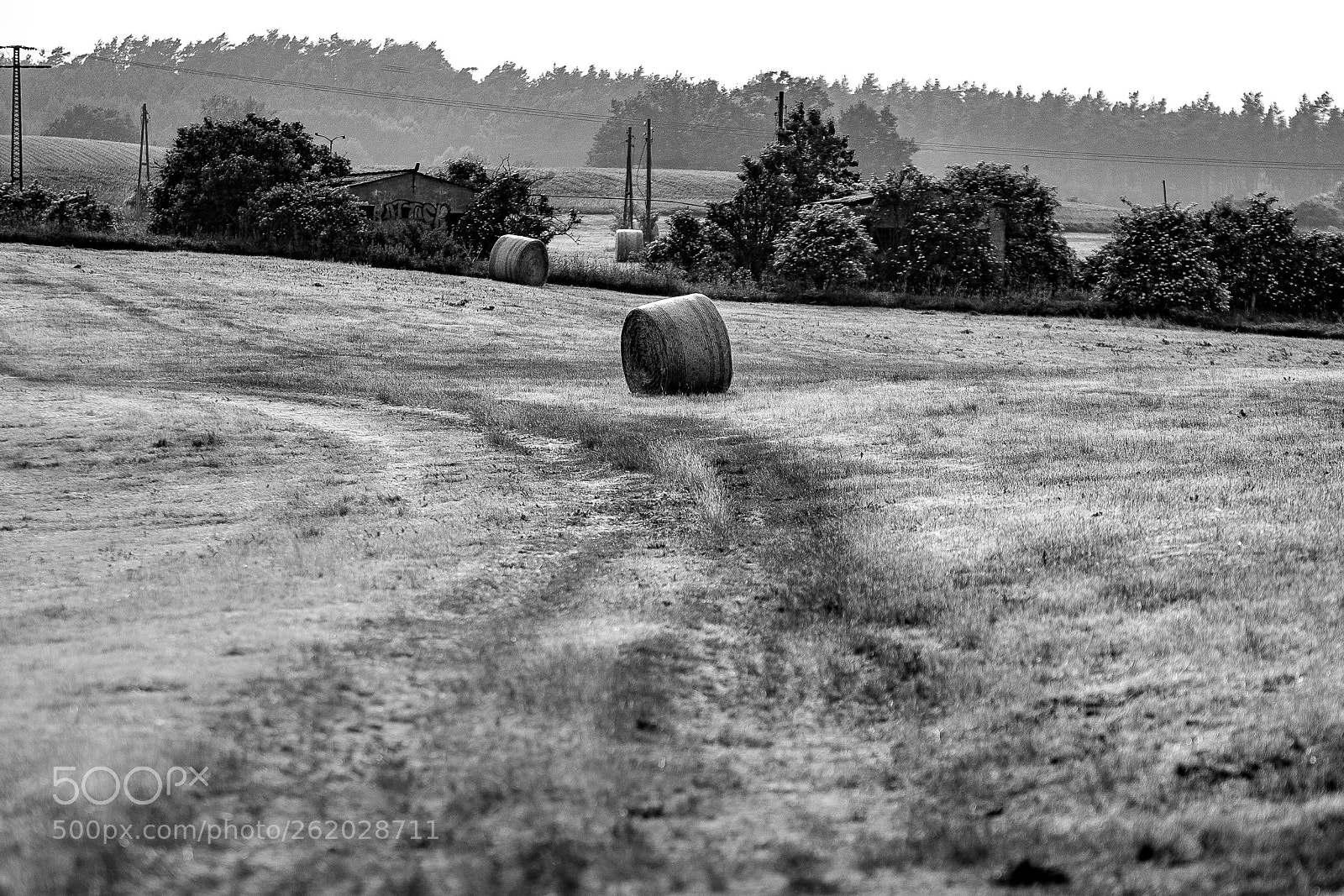 Sony SLT-A99V sample photo. Paths through the country photography