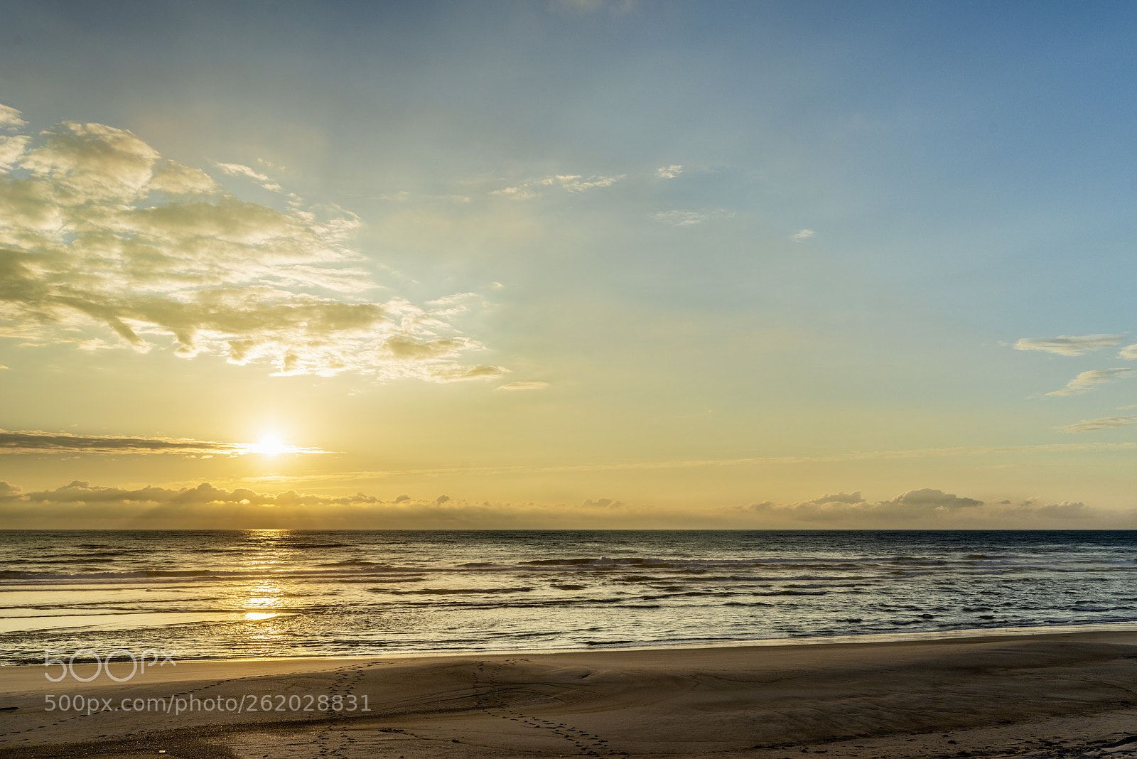 Nikon D800 sample photo. Beach photography