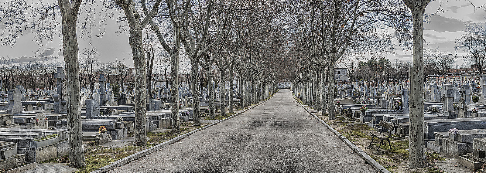 Nikon D800 sample photo. Madrid photography