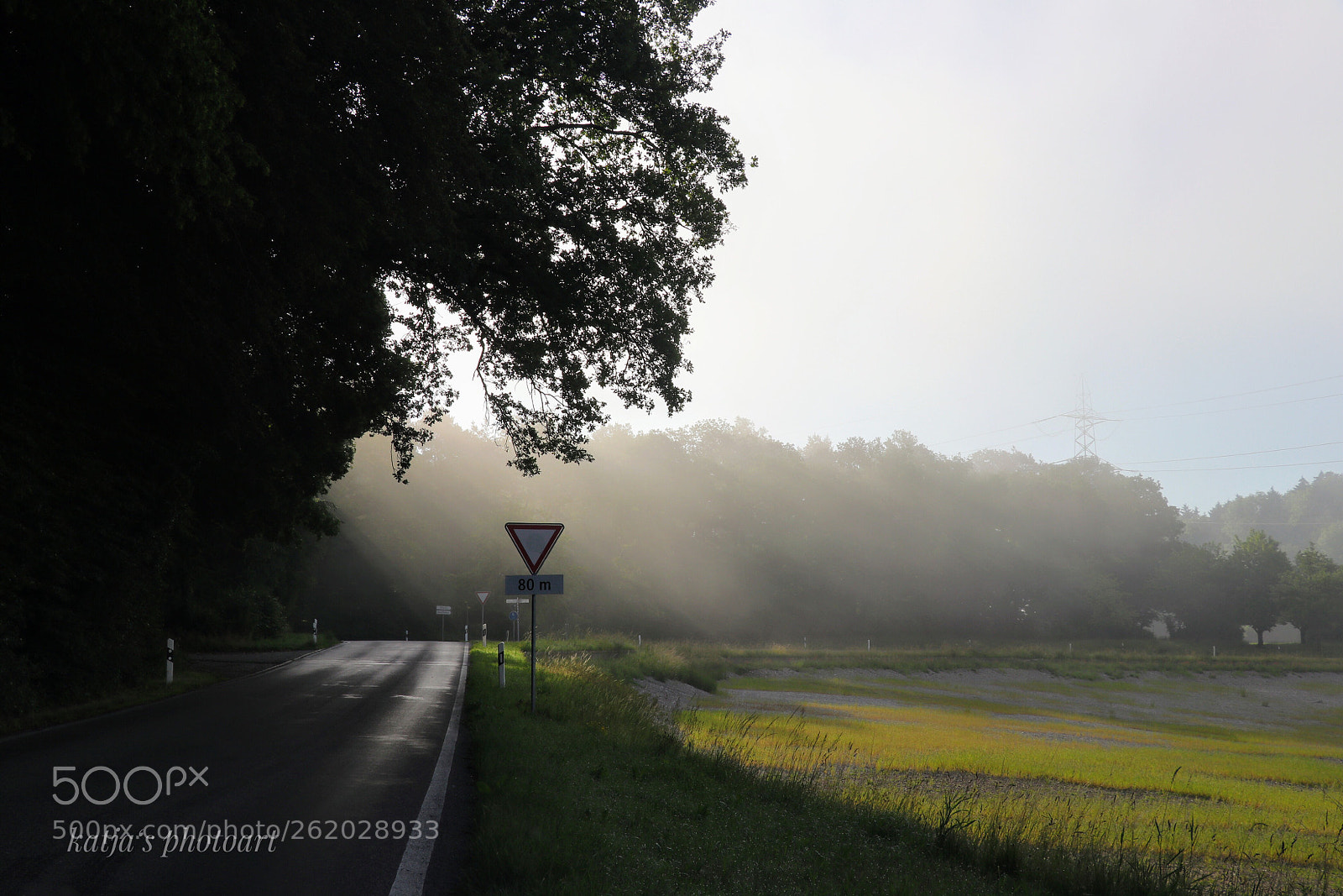 Canon EOS 80D sample photo. Sonne und nebel photography