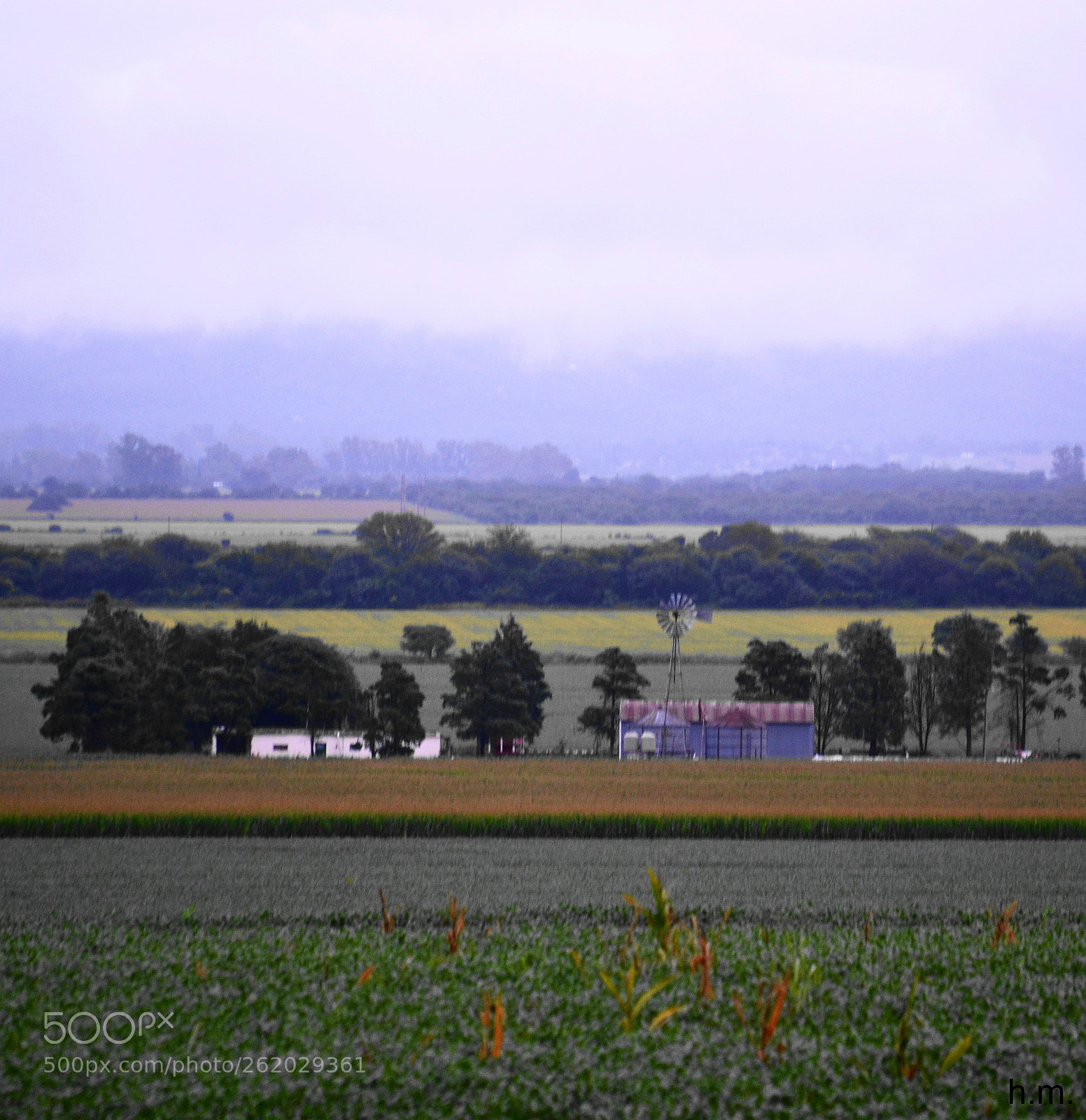 Nikon D3100 sample photo. Deo photography