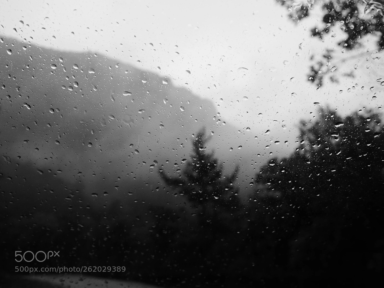 Panasonic Lumix DMC-GX85 (Lumix DMC-GX80 / Lumix DMC-GX7 Mark II) sample photo. Rainy day photography