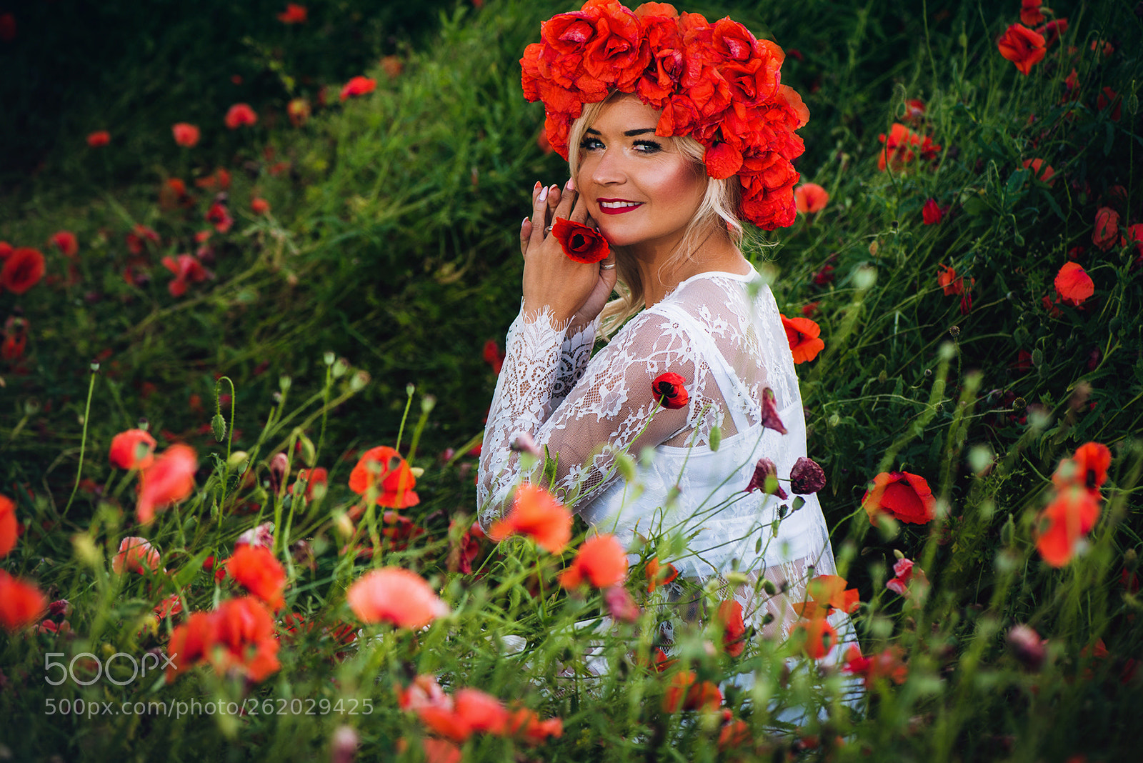 Nikon D750 sample photo. Poppies photography