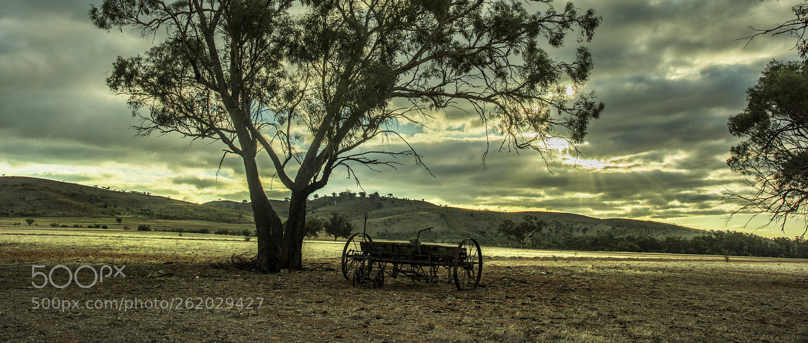 Nikon D810 sample photo. Old farm machinery near photography
