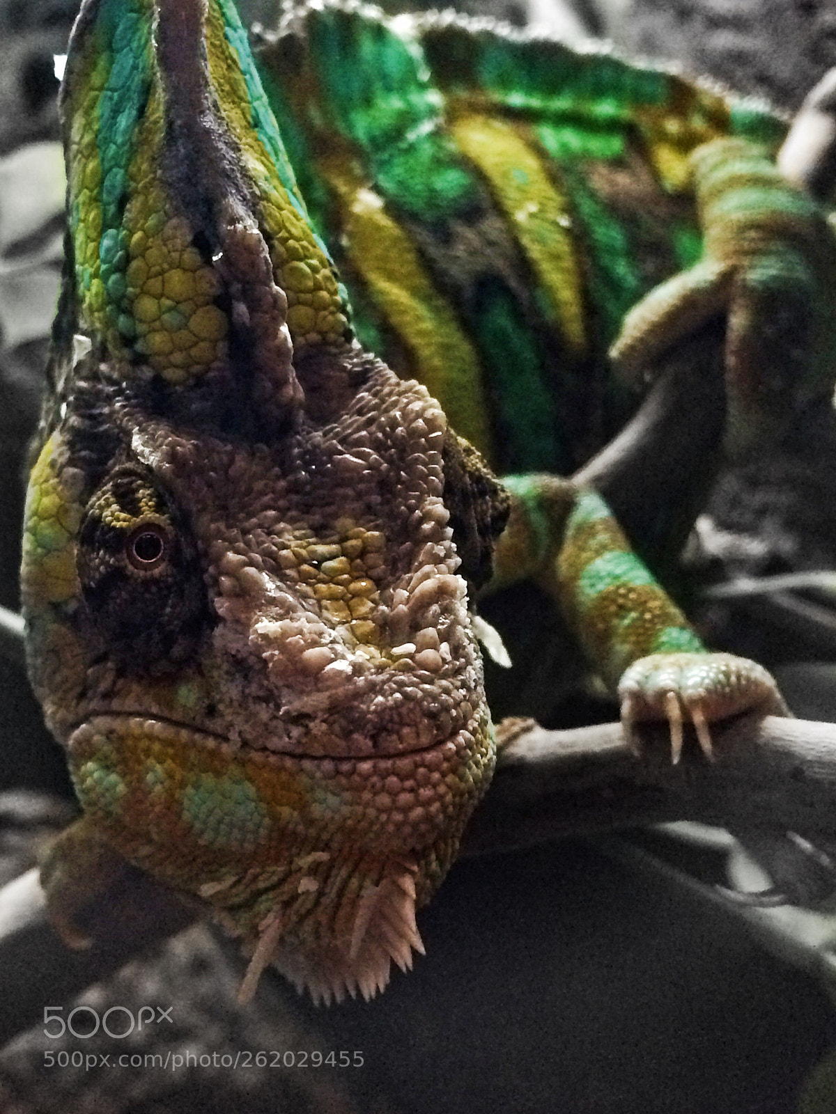 Apple iPhone 5s sample photo. Spectrum photography
