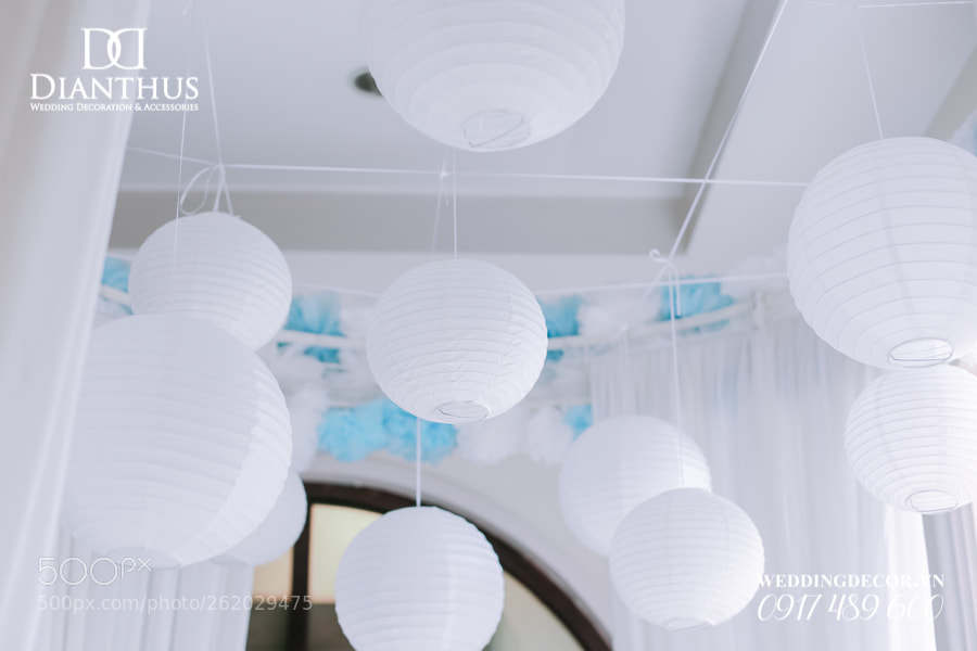 Canon EOS 6D sample photo. Untitled photography