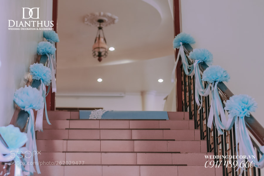 Canon EOS 6D sample photo. Untitled photography