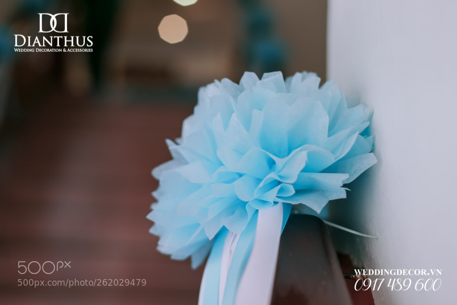 Canon EOS 6D sample photo. Untitled photography