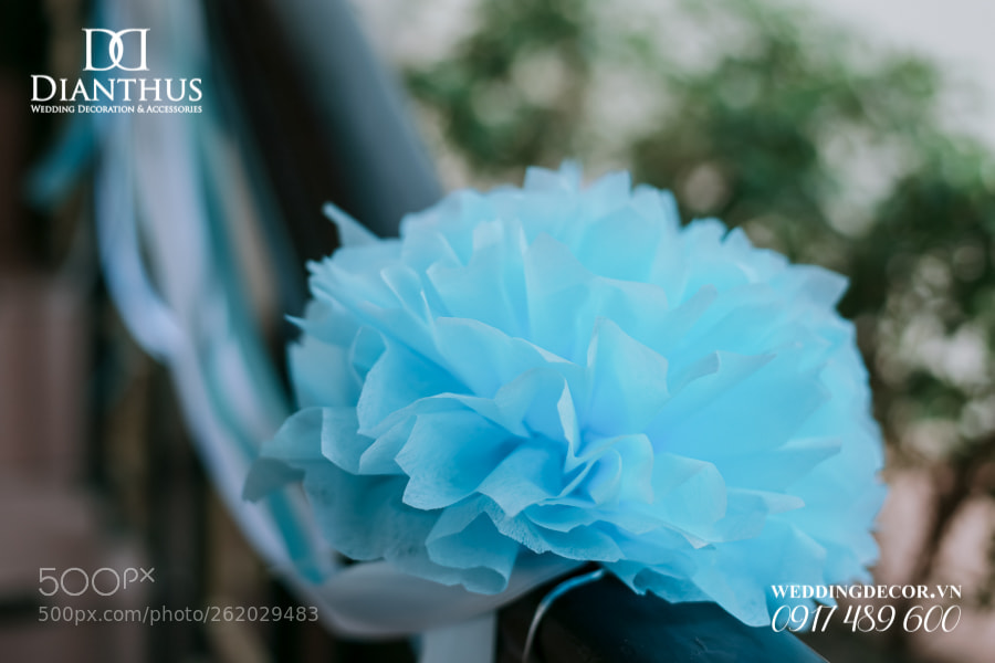 Canon EOS 6D sample photo. Trang tri tiec cuoi photography