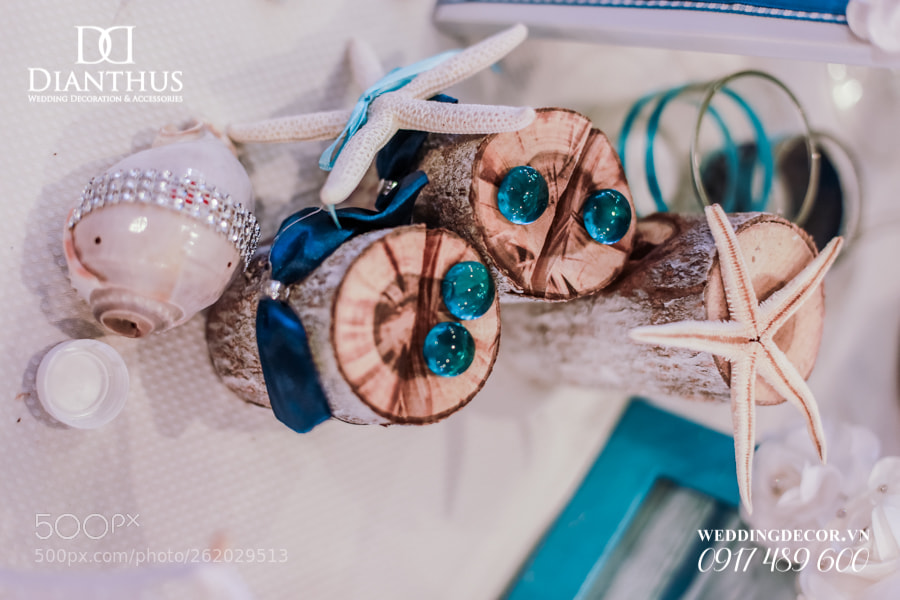 Canon EOS 6D sample photo. Untitled photography
