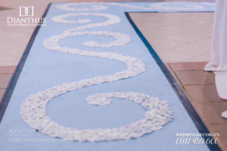 Canon EOS 6D sample photo. Trang tri tiec cuoi photography