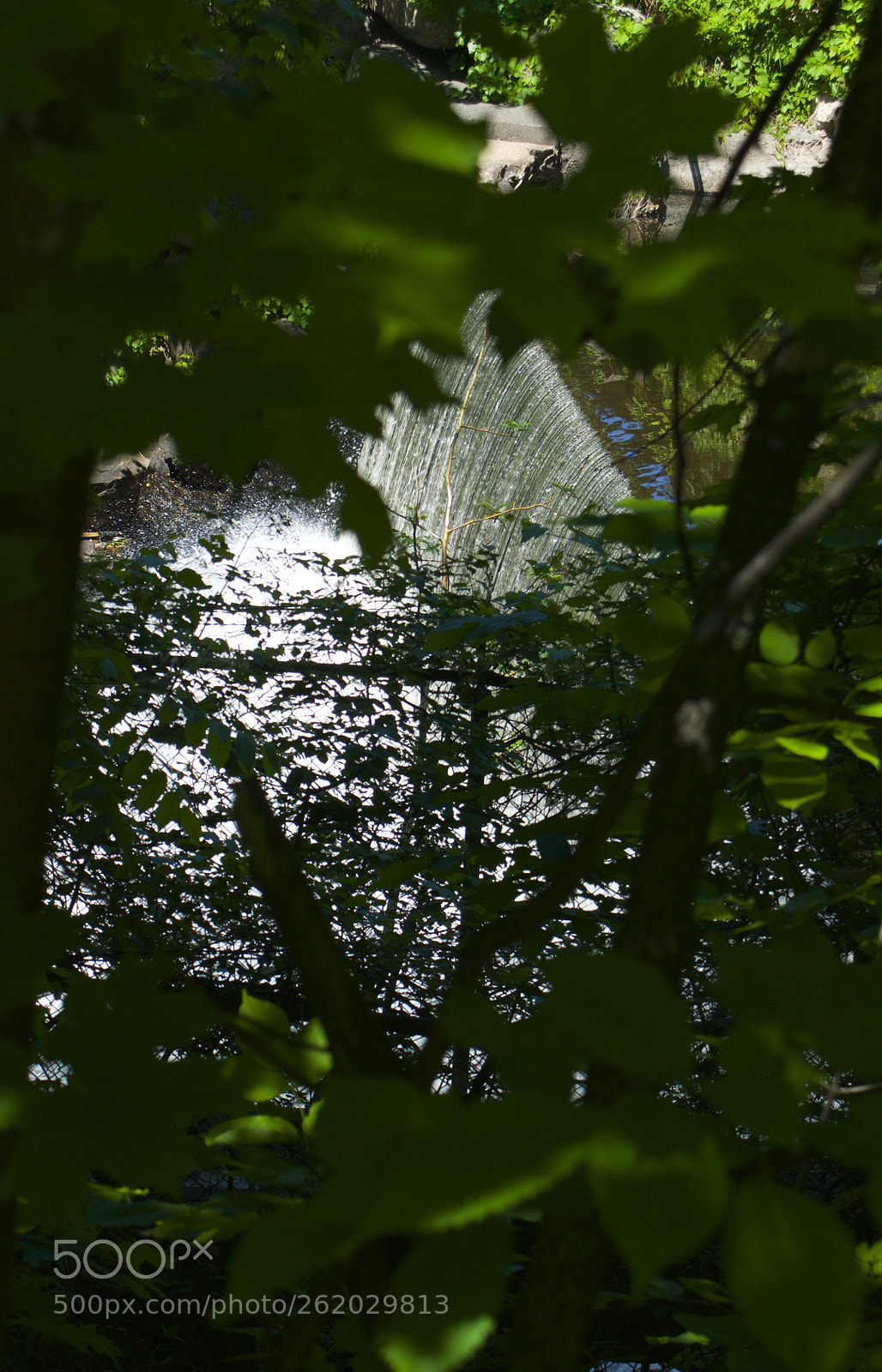 Nikon D90 sample photo. La vraie nature photography