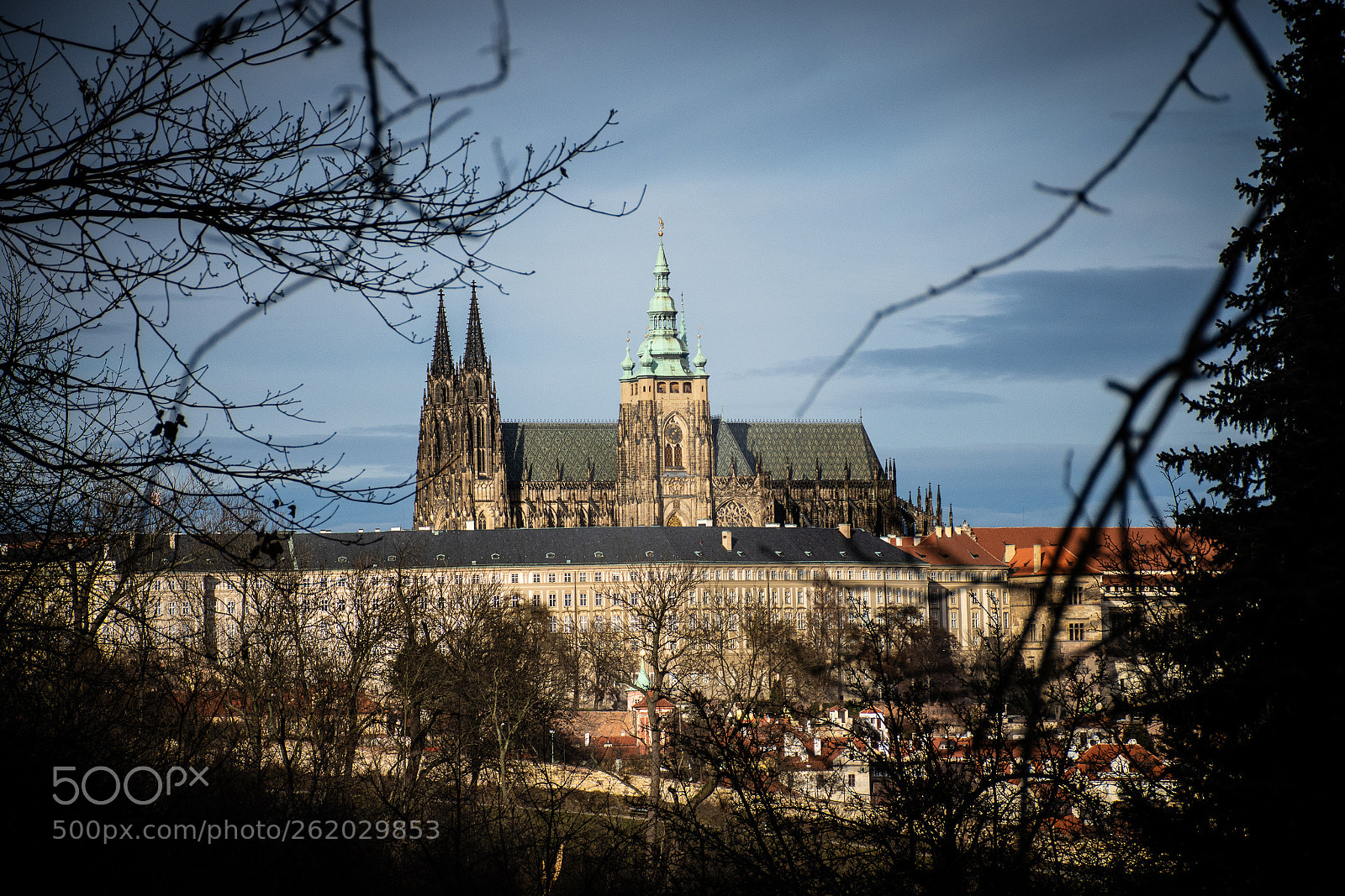 Nikon D7200 sample photo. St. vitus cathedral | prague photography