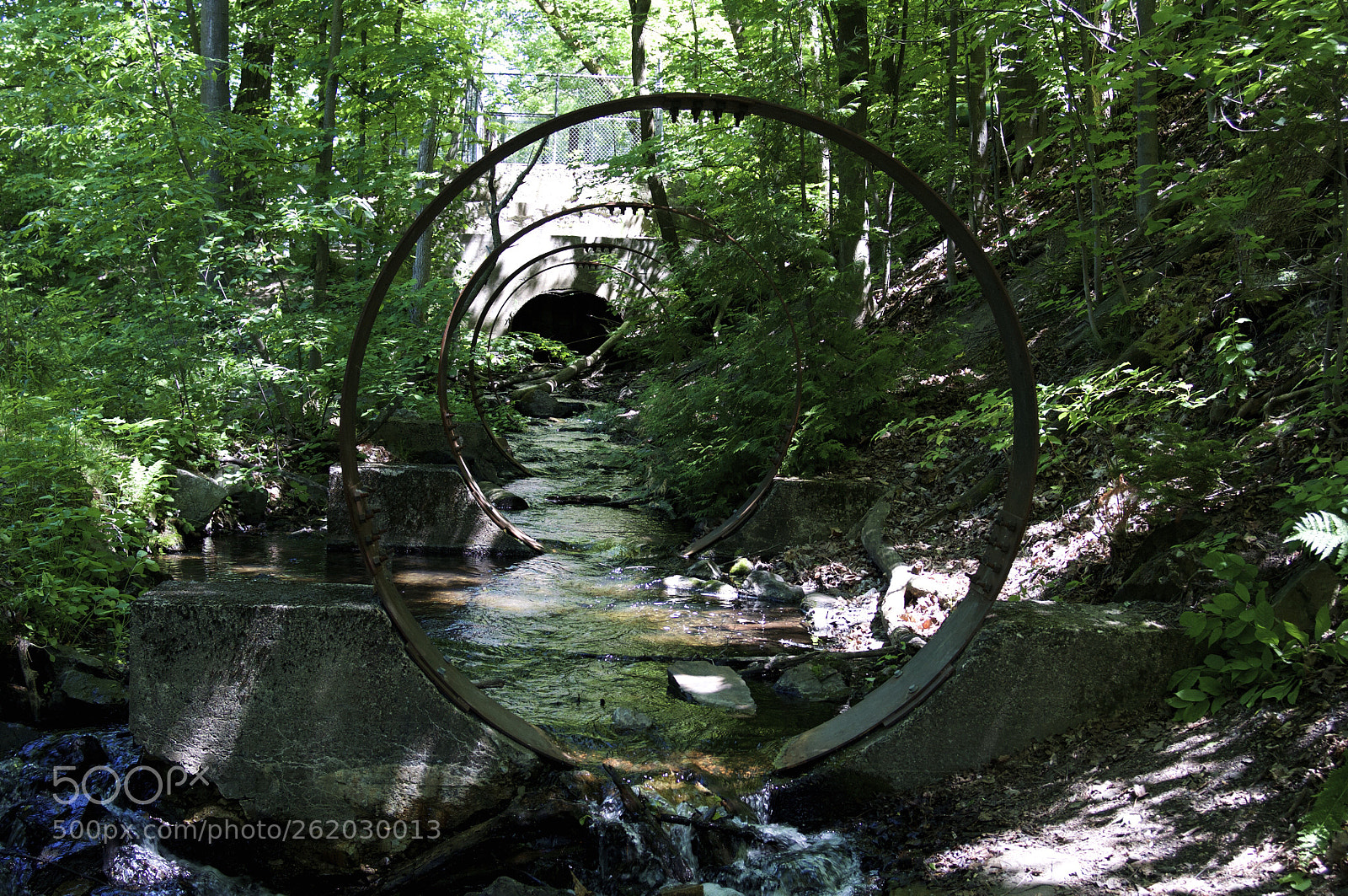 Nikon D90 sample photo. Untitled photography