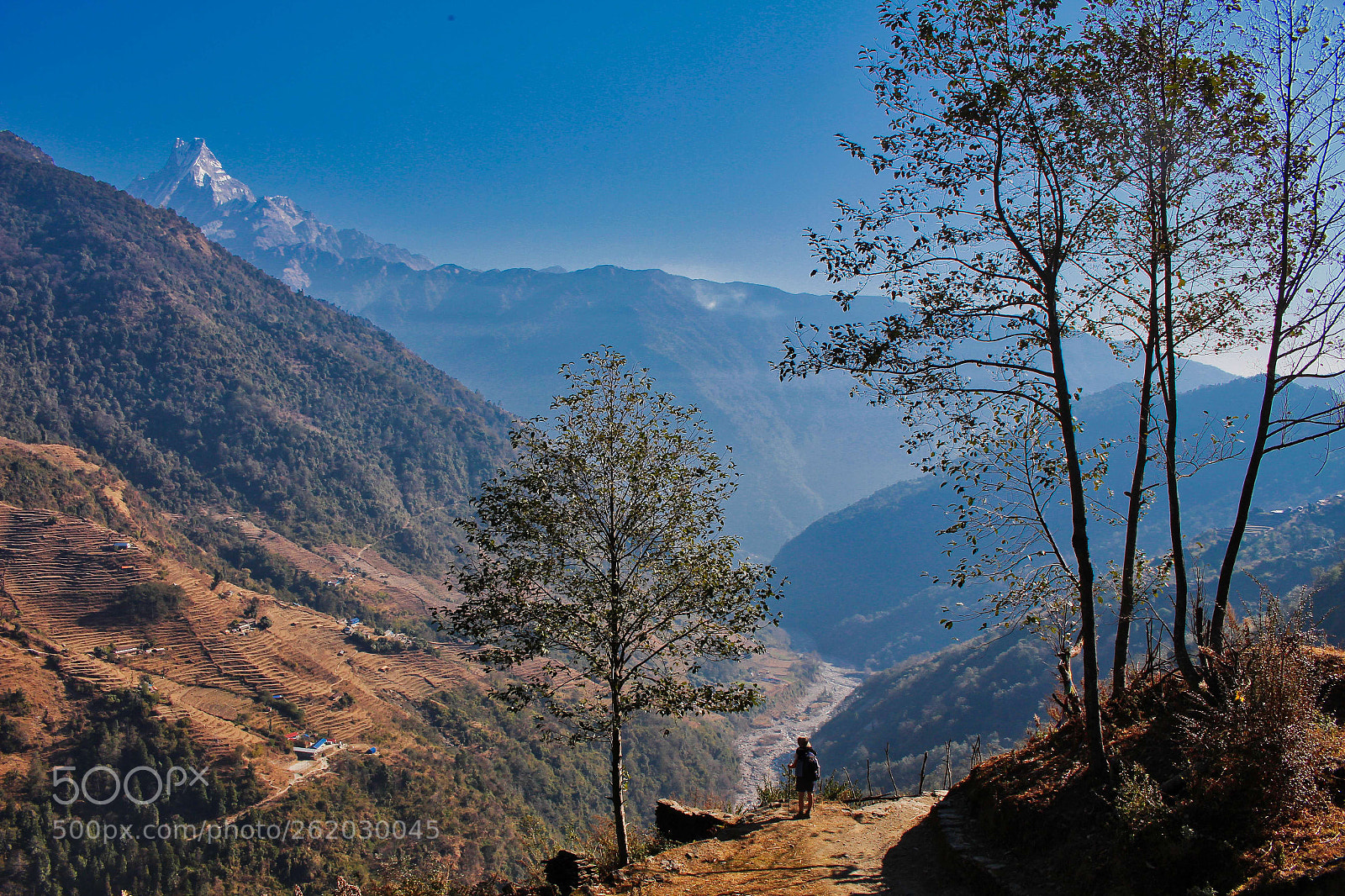 Canon EOS 700D (EOS Rebel T5i / EOS Kiss X7i) sample photo. Trekking amongst the giants photography