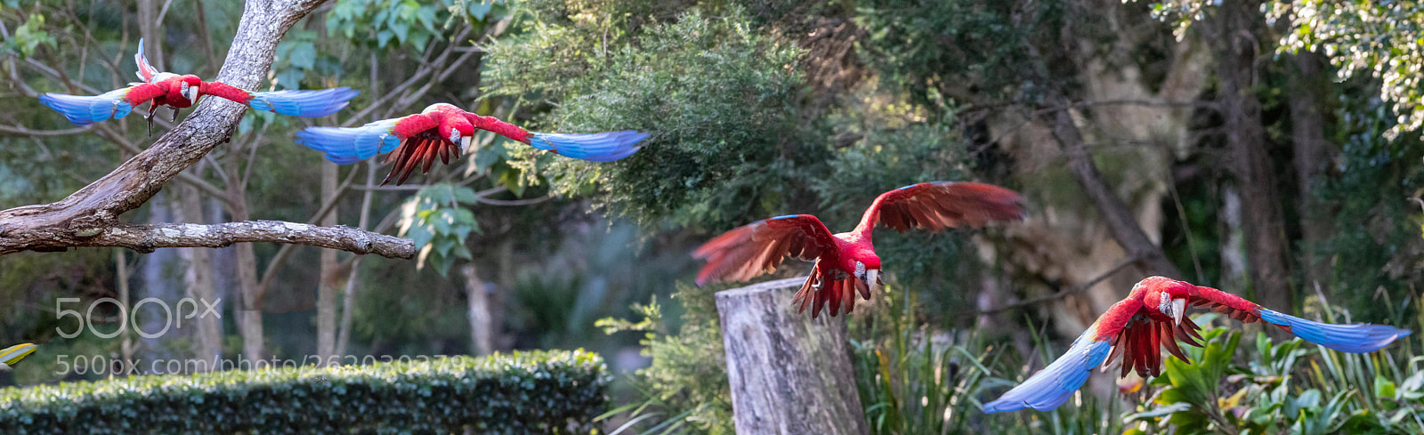 Canon EOS 5D Mark IV sample photo. 2018-06-04 - canon collective photography