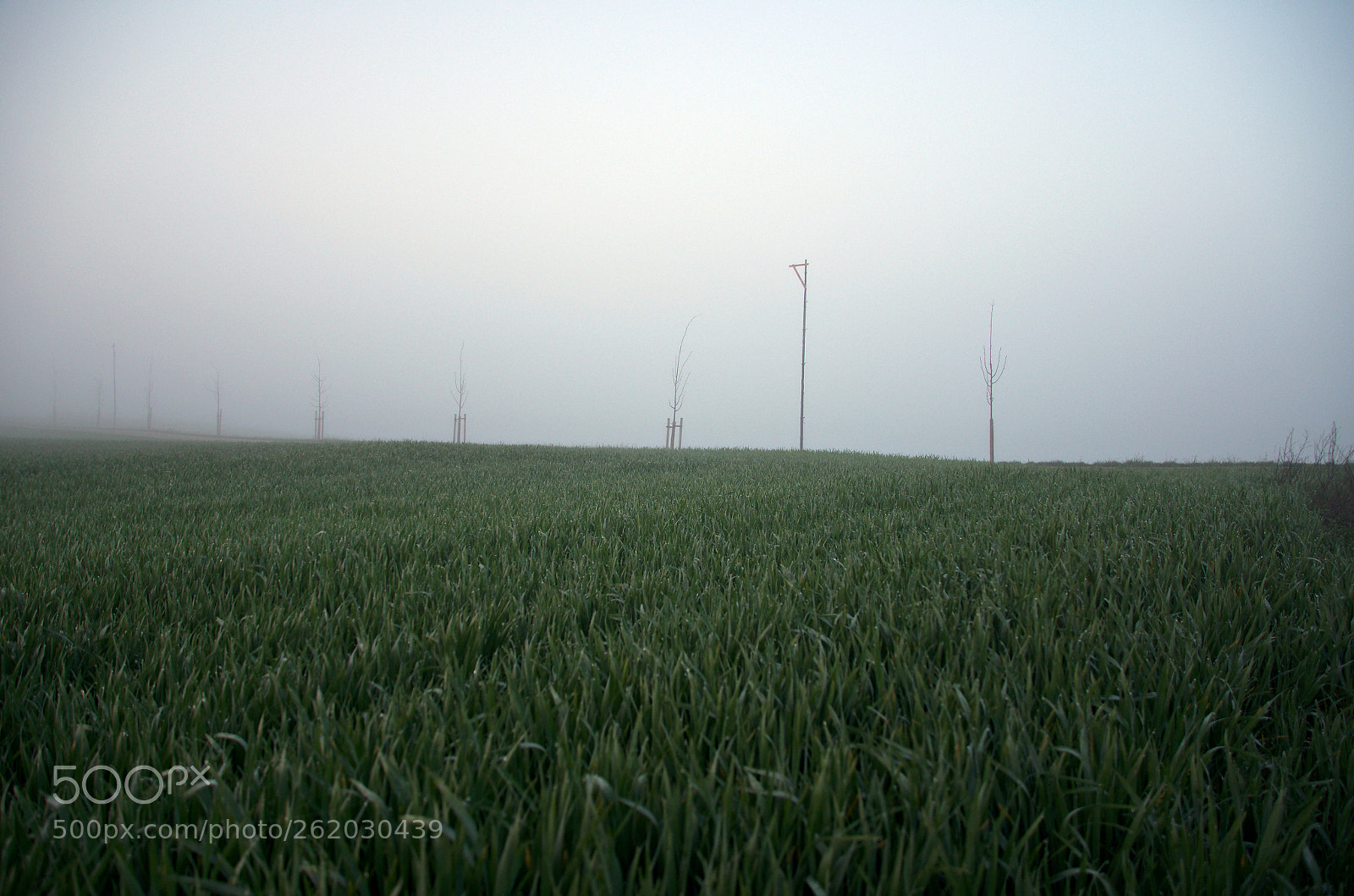 Pentax K-5 IIs sample photo. Iis photography