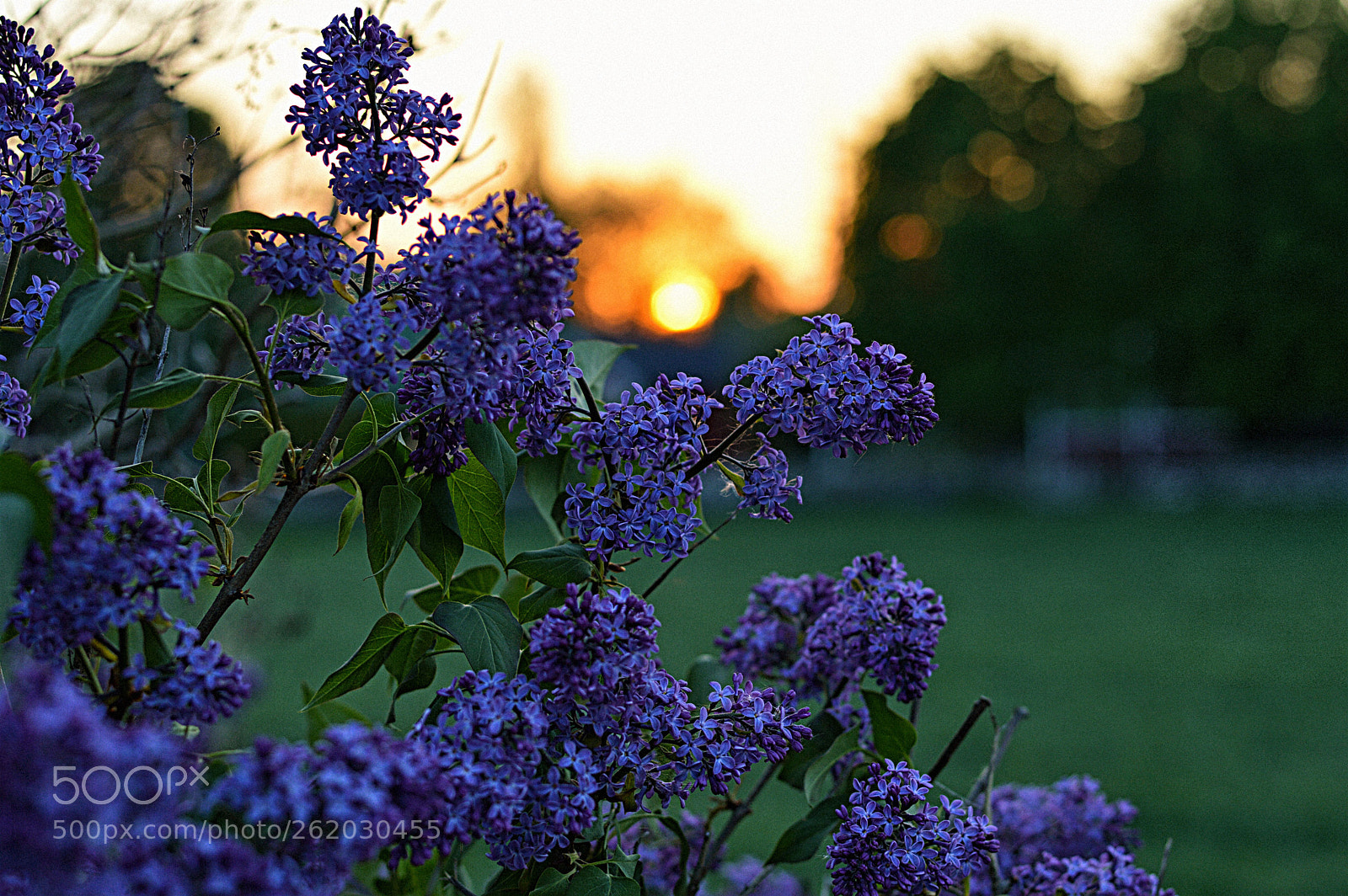 Nikon D3200 + Nikon AF-S Nikkor 50mm F1.8G sample photo. Sommernight photography