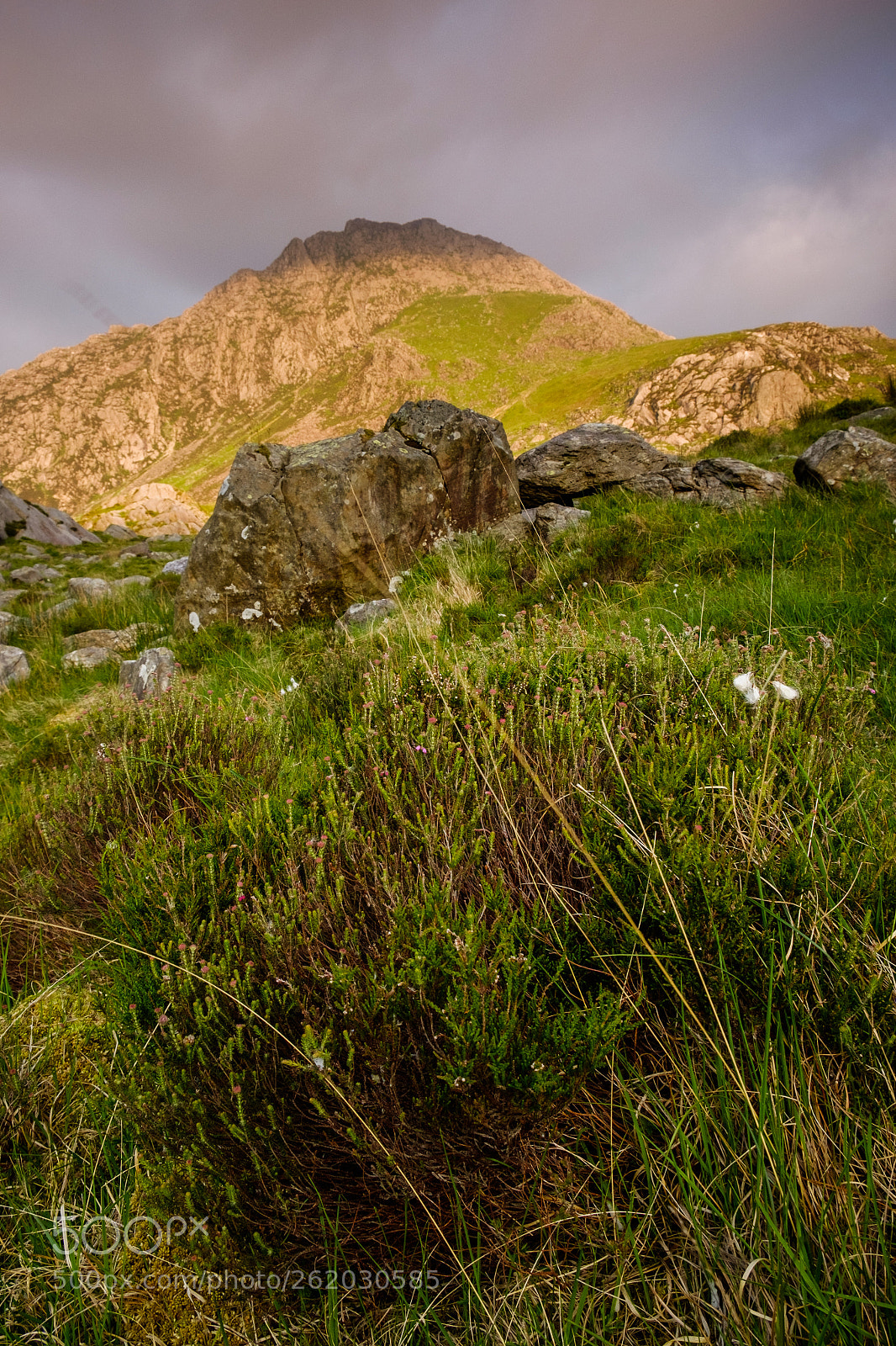 Fujifilm X-T1 sample photo. Tryfan 2 photography