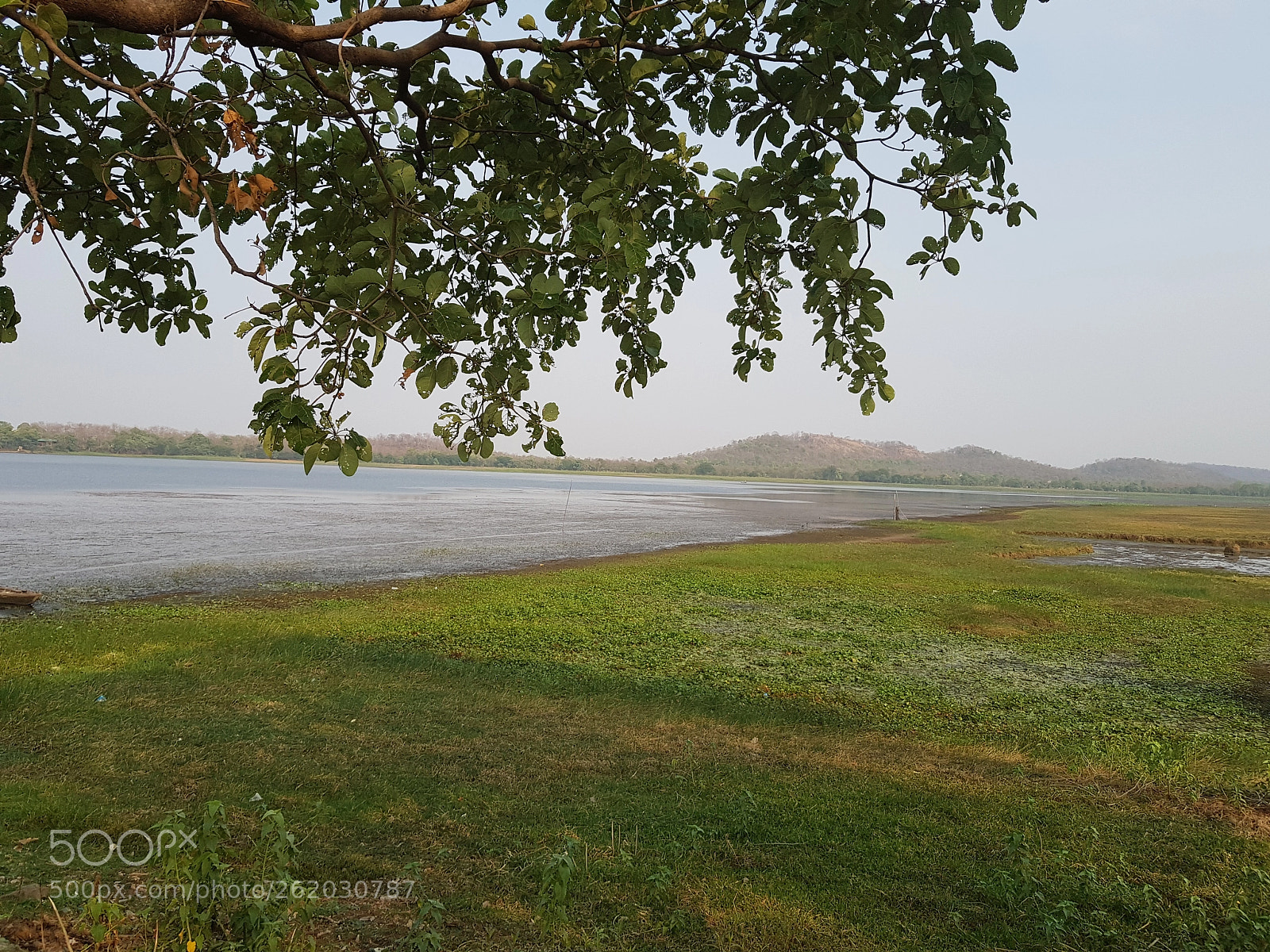 Samsung Galaxy S8 sample photo. Serene summer photography