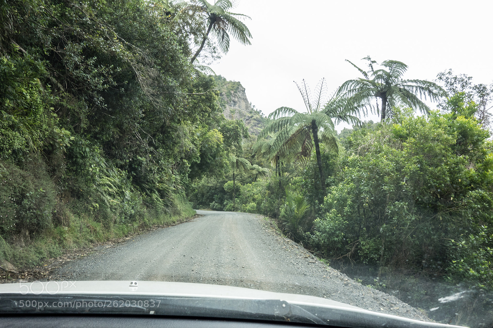 Sony Cyber-shot DSC-RX100 sample photo. Coromandel heart photography