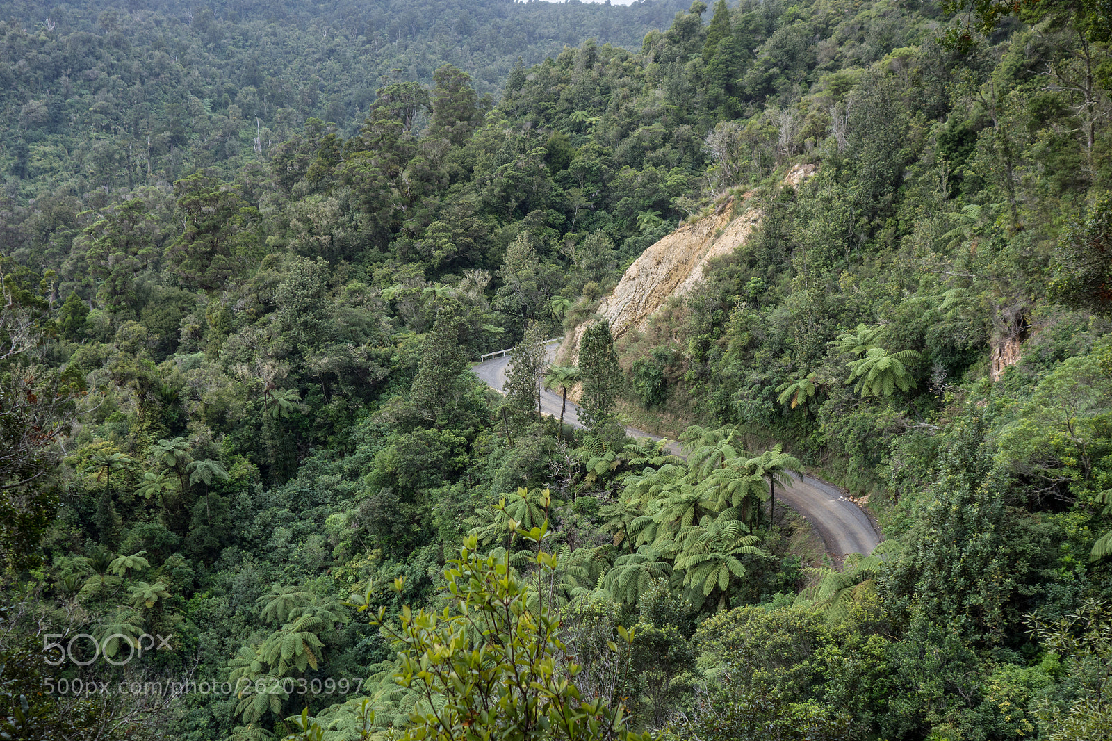 Sony Cyber-shot DSC-RX100 sample photo. Lonely road photography