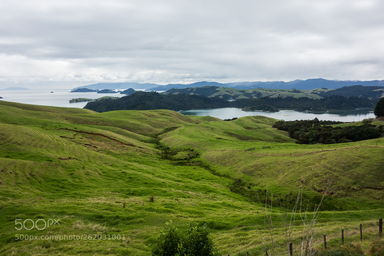 Sony Cyber-shot DSC-RX100 sample photo. Coromandel shore photography