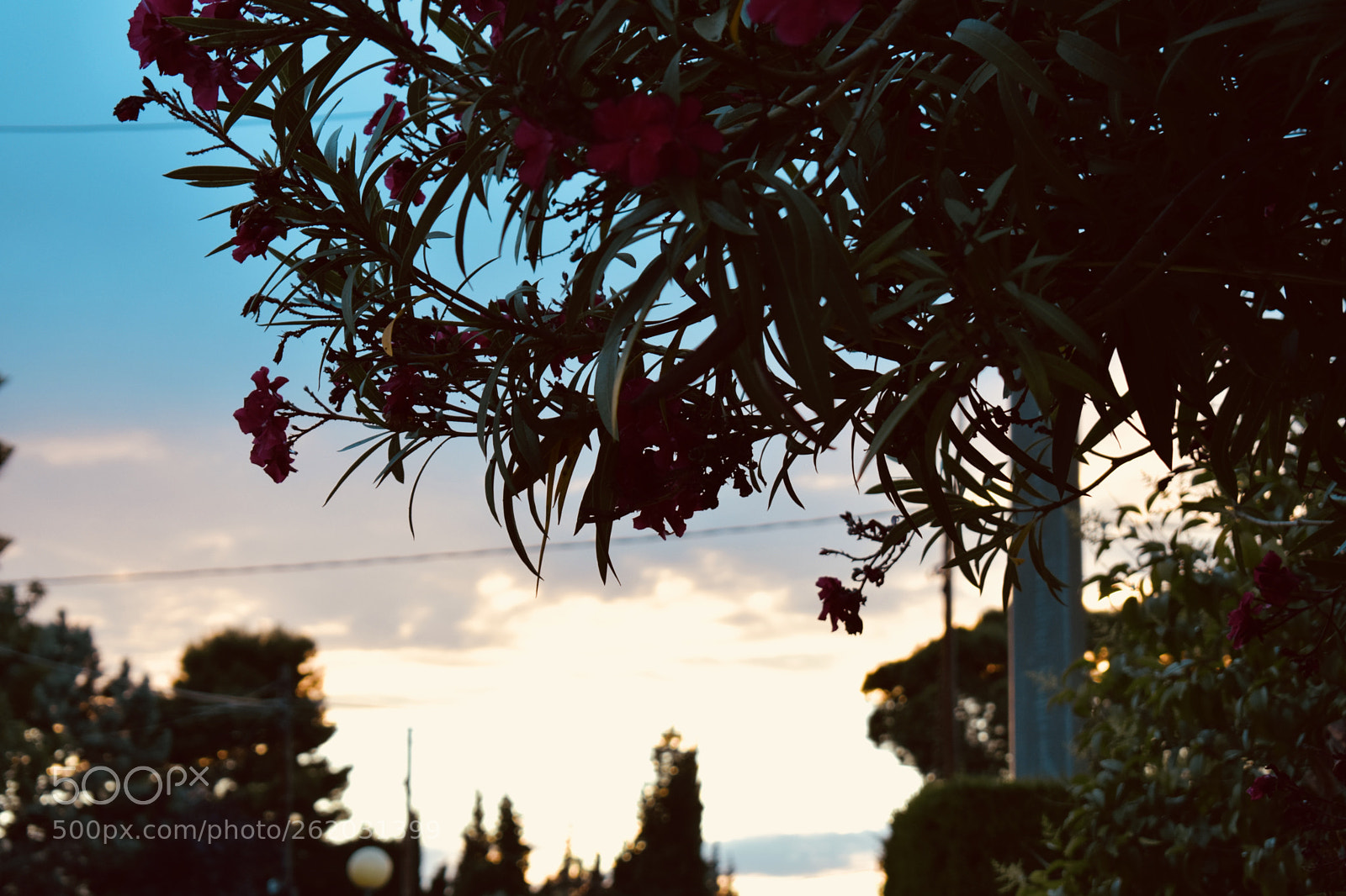 Nikon D3400 sample photo. Sunset photography