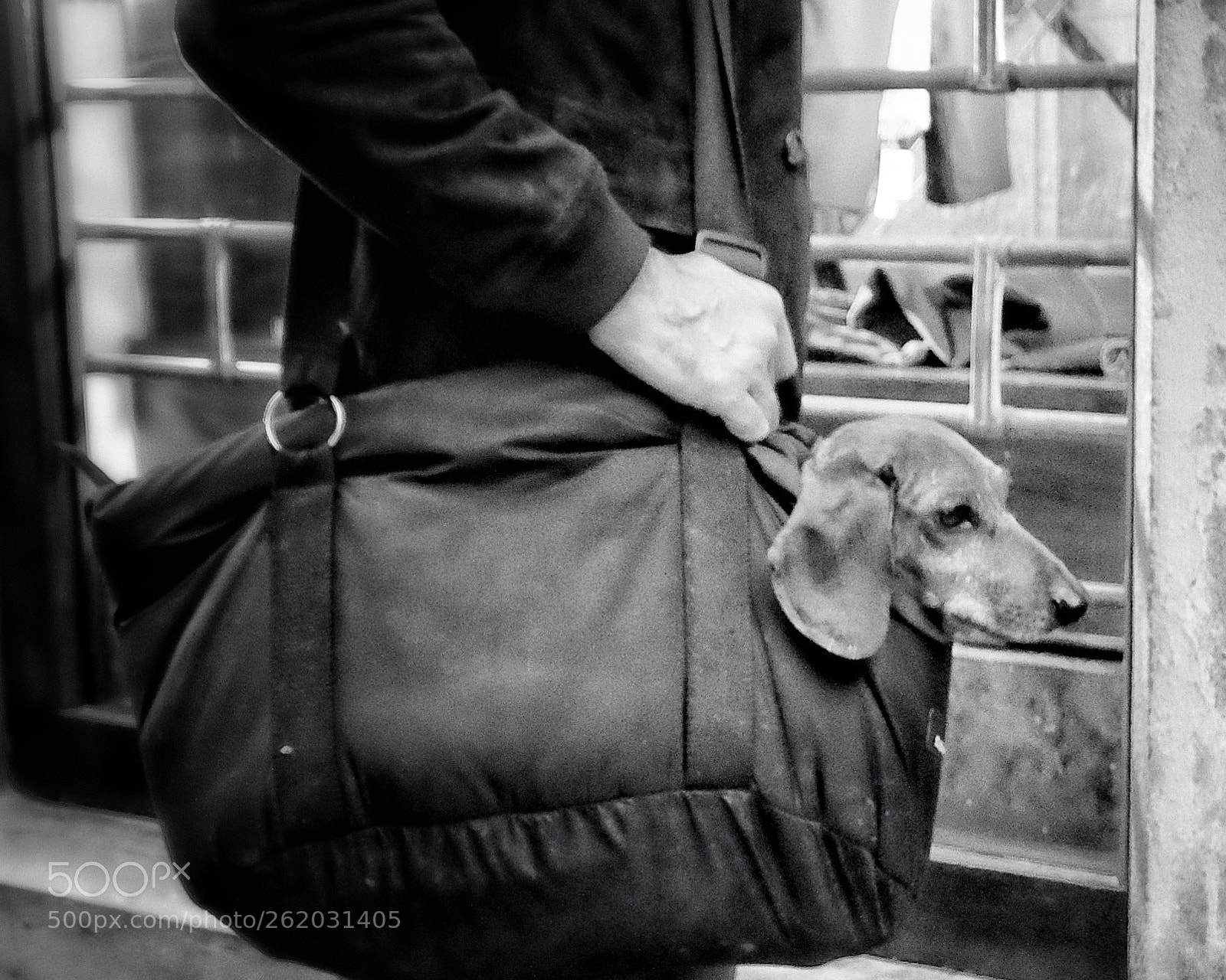 Fujifilm X-M1 sample photo. Sometimes you just have photography