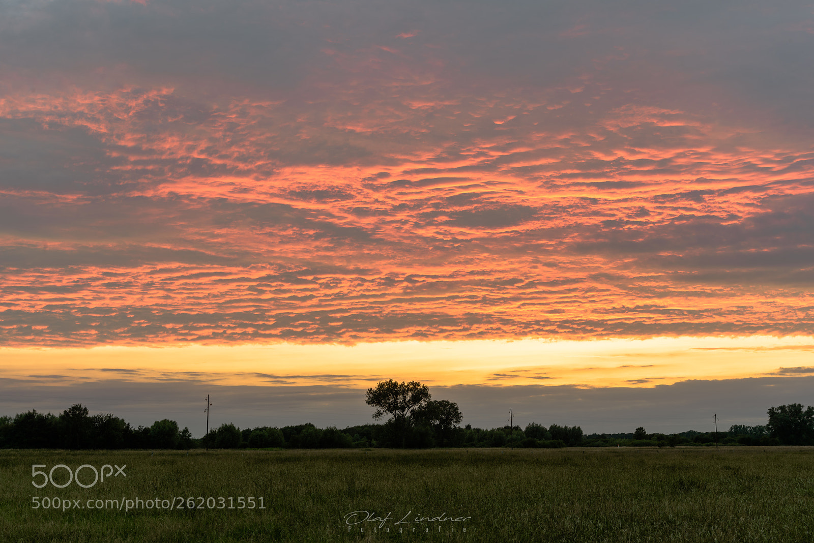 Nikon D750 sample photo. Glowing sky photography