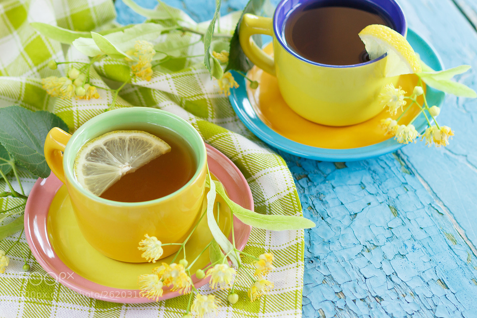 Canon EOS 600D (Rebel EOS T3i / EOS Kiss X5) sample photo. Cups of herbal tea photography