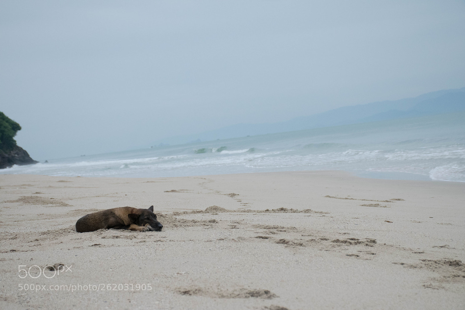 Nikon D5300 sample photo. Lonely photography