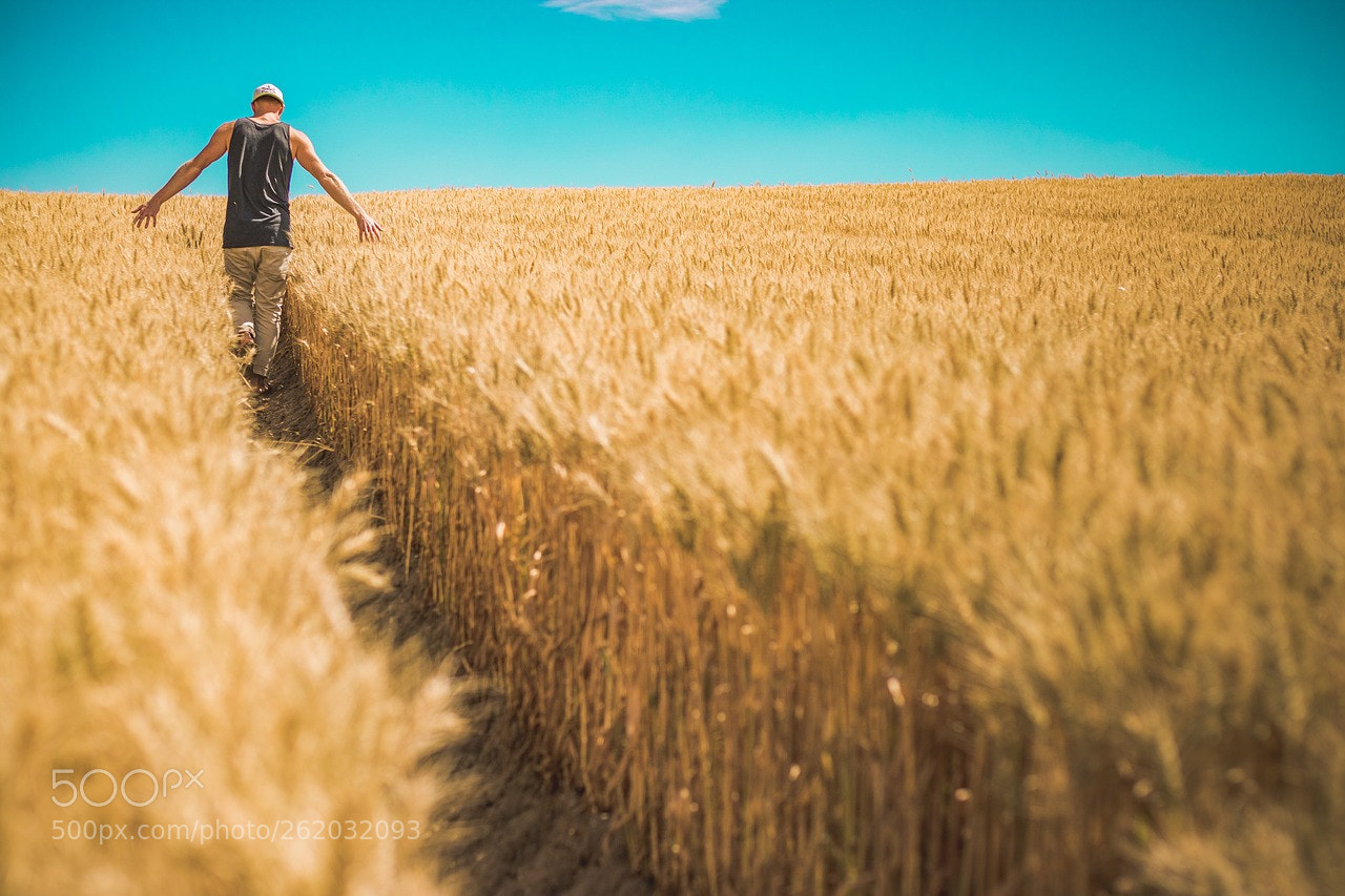 Canon EOS 750D (EOS Rebel T6i / EOS Kiss X8i) sample photo. Farm business insurance photography