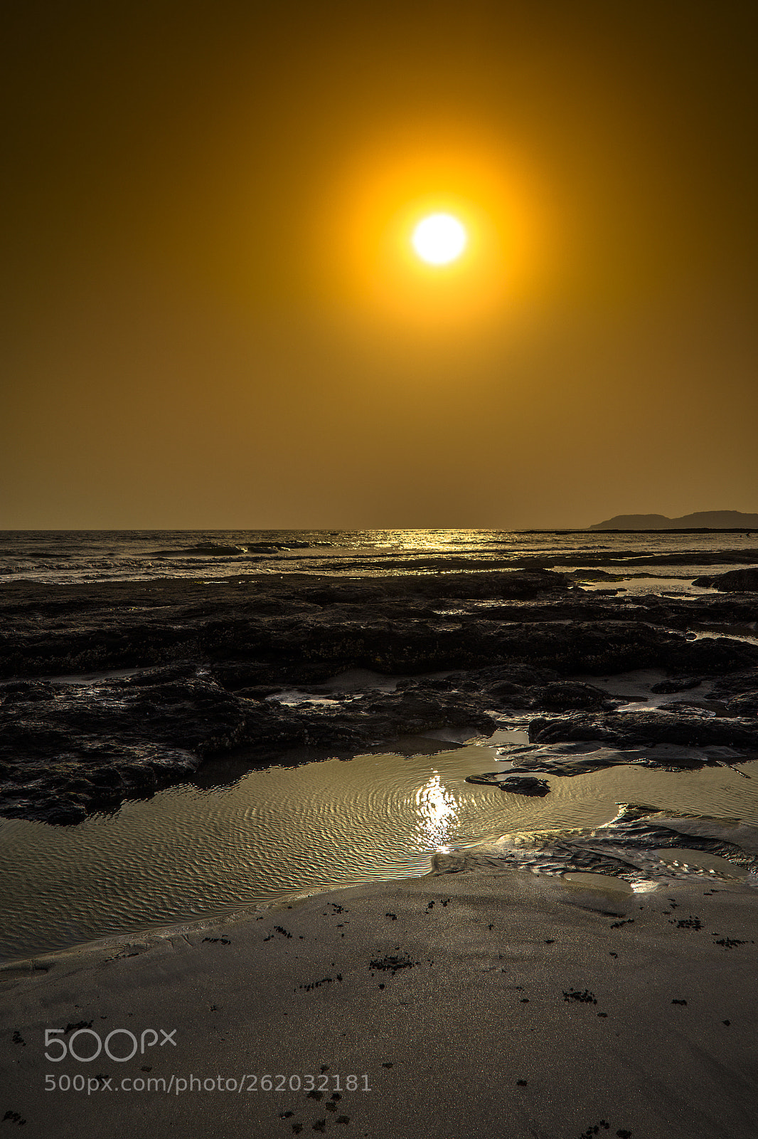Nikon D7200 sample photo. Untitled photography