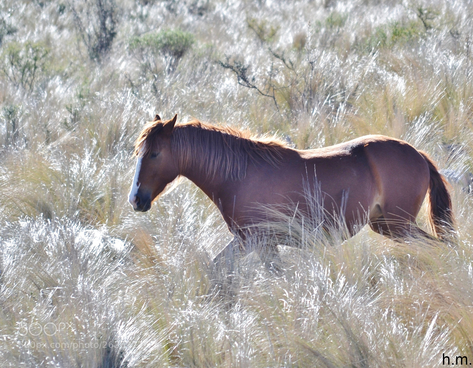 Nikon D3100 sample photo. Eaco () photography