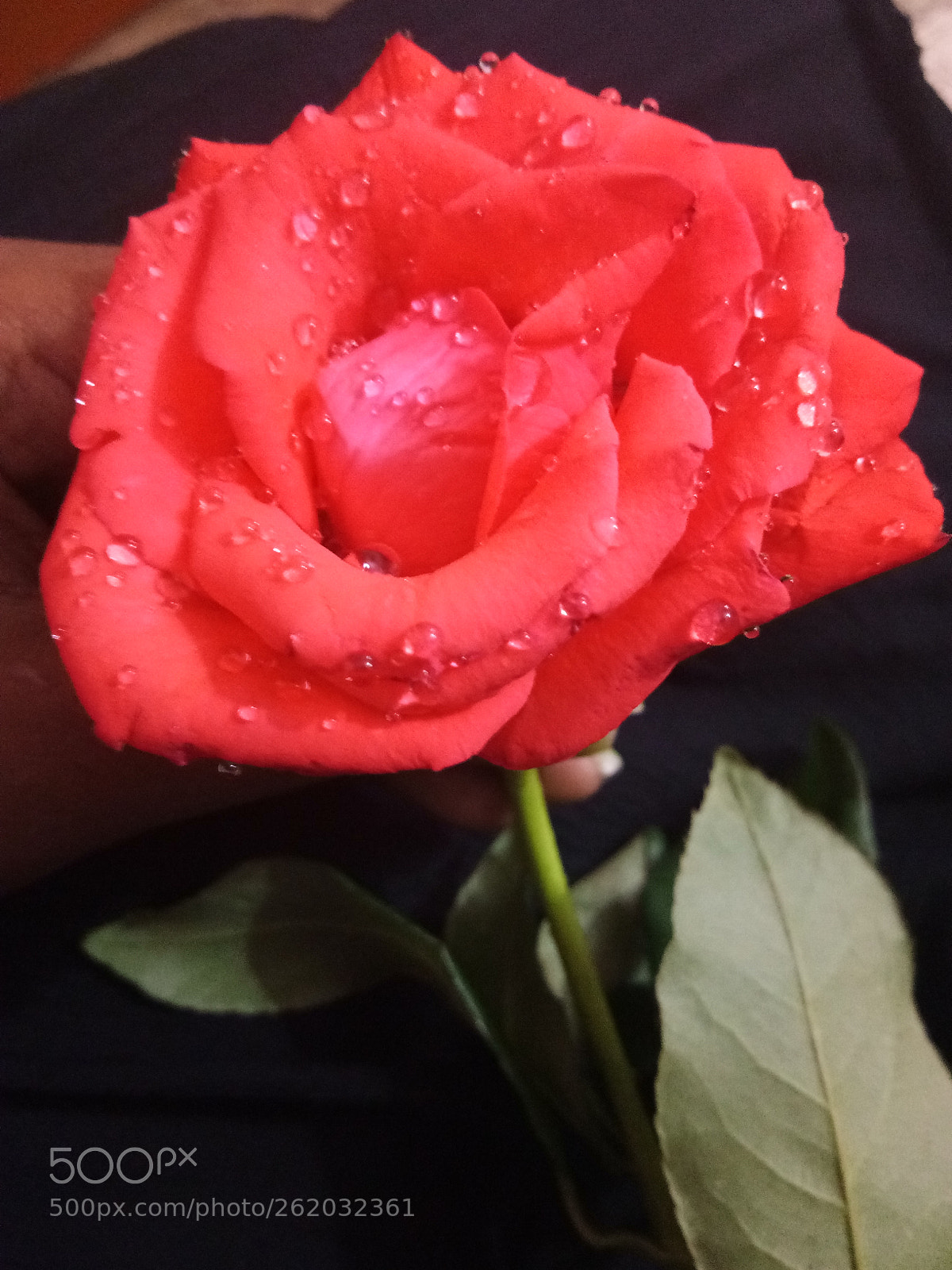 vivo 1601 sample photo. My clickzz photography