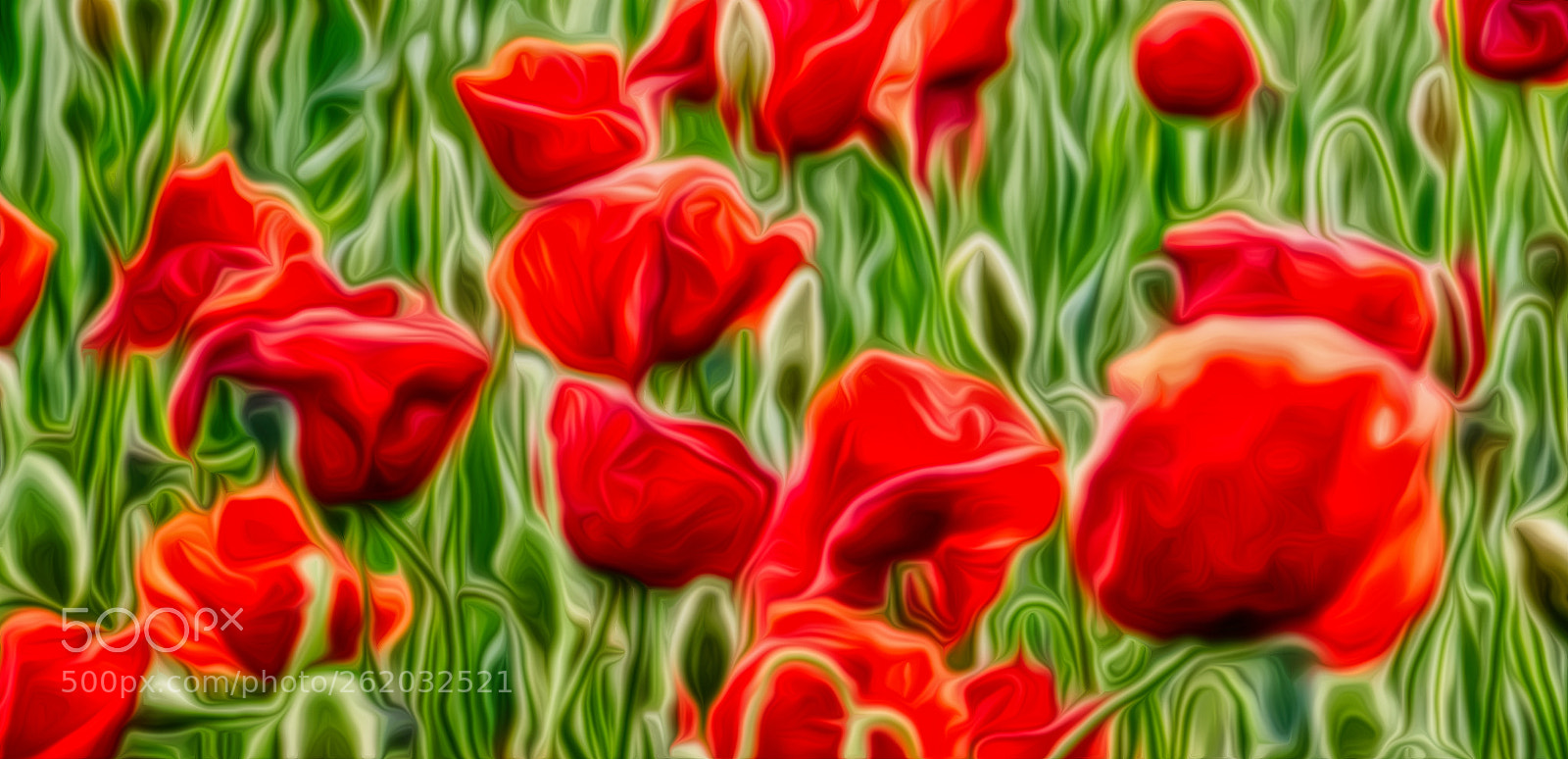 Nikon D7000 sample photo. Poppy photography