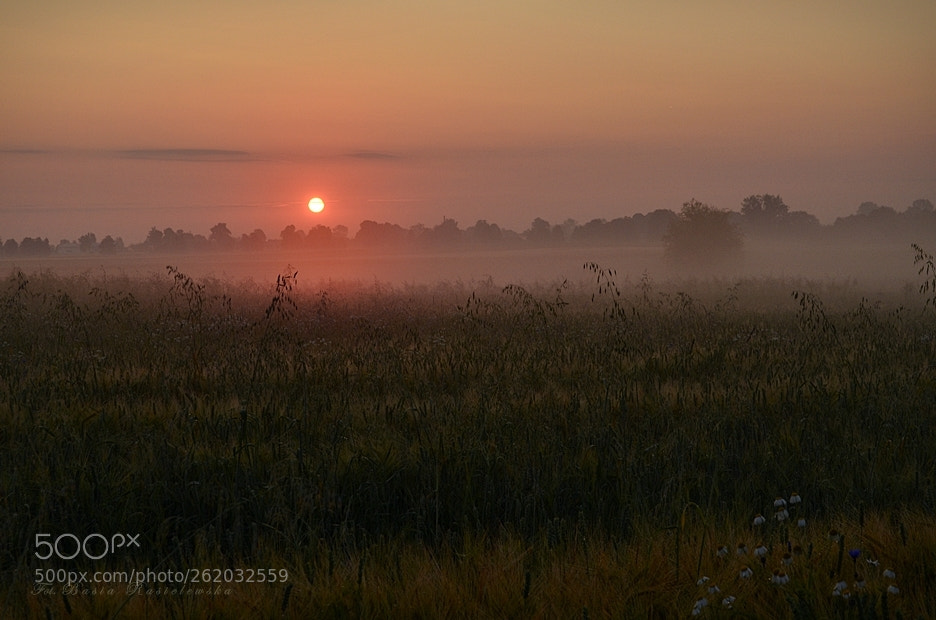 Nikon D5100 sample photo. A misty dawn... photography