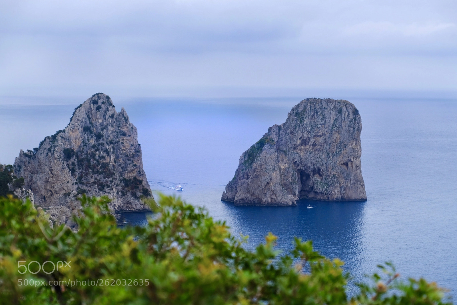 Fujifilm X-Pro2 sample photo. Blue capri photography