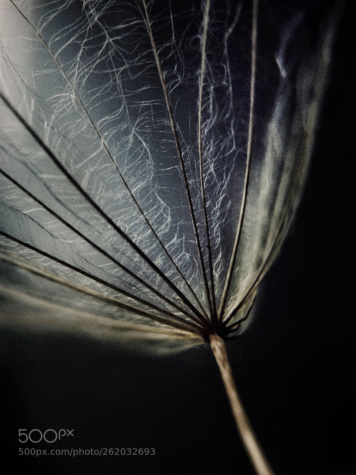 Apple iPhone 5s sample photo. Texture photography