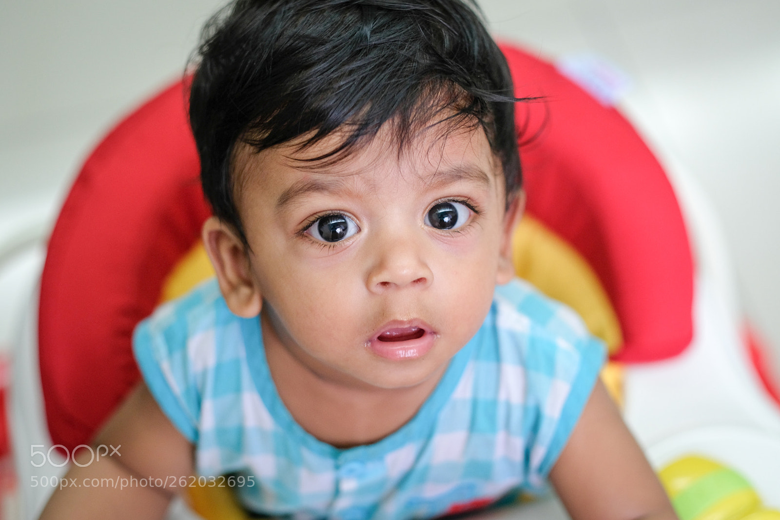 Fujifilm X-T20 sample photo. Curious photography