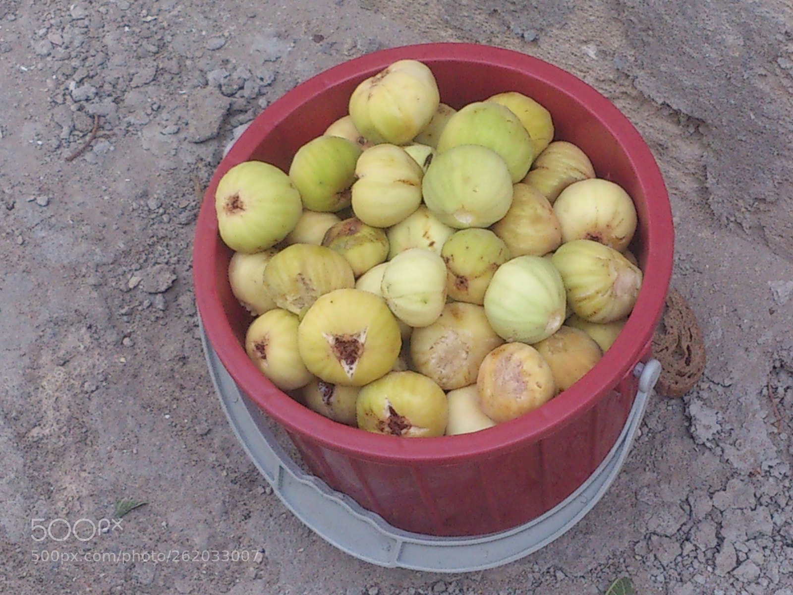 Sony Ericsson Xperia S sample photo. Untitled photography