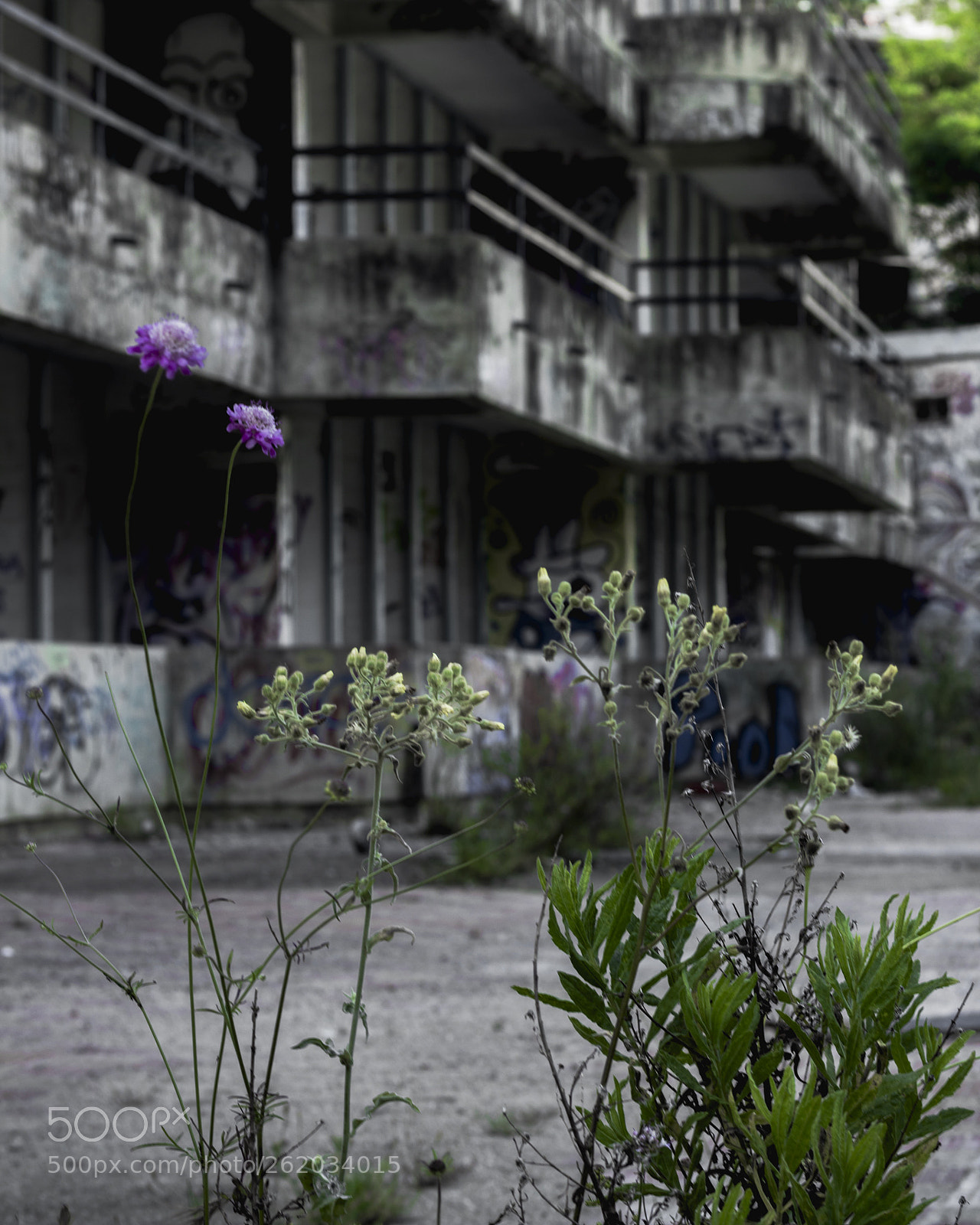 Canon EOS 1200D (EOS Rebel T5 / EOS Kiss X70 / EOS Hi) sample photo. Abandoned nature photography
