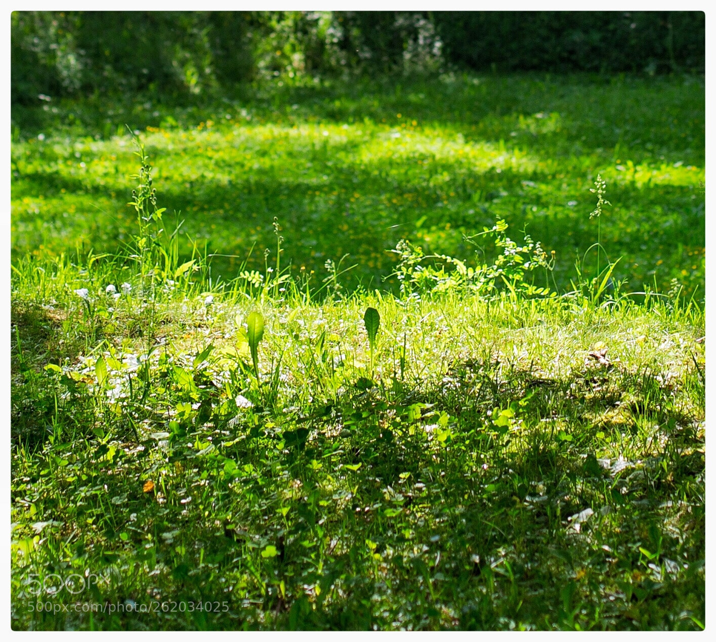 Canon EOS 6D sample photo. Untitled photography